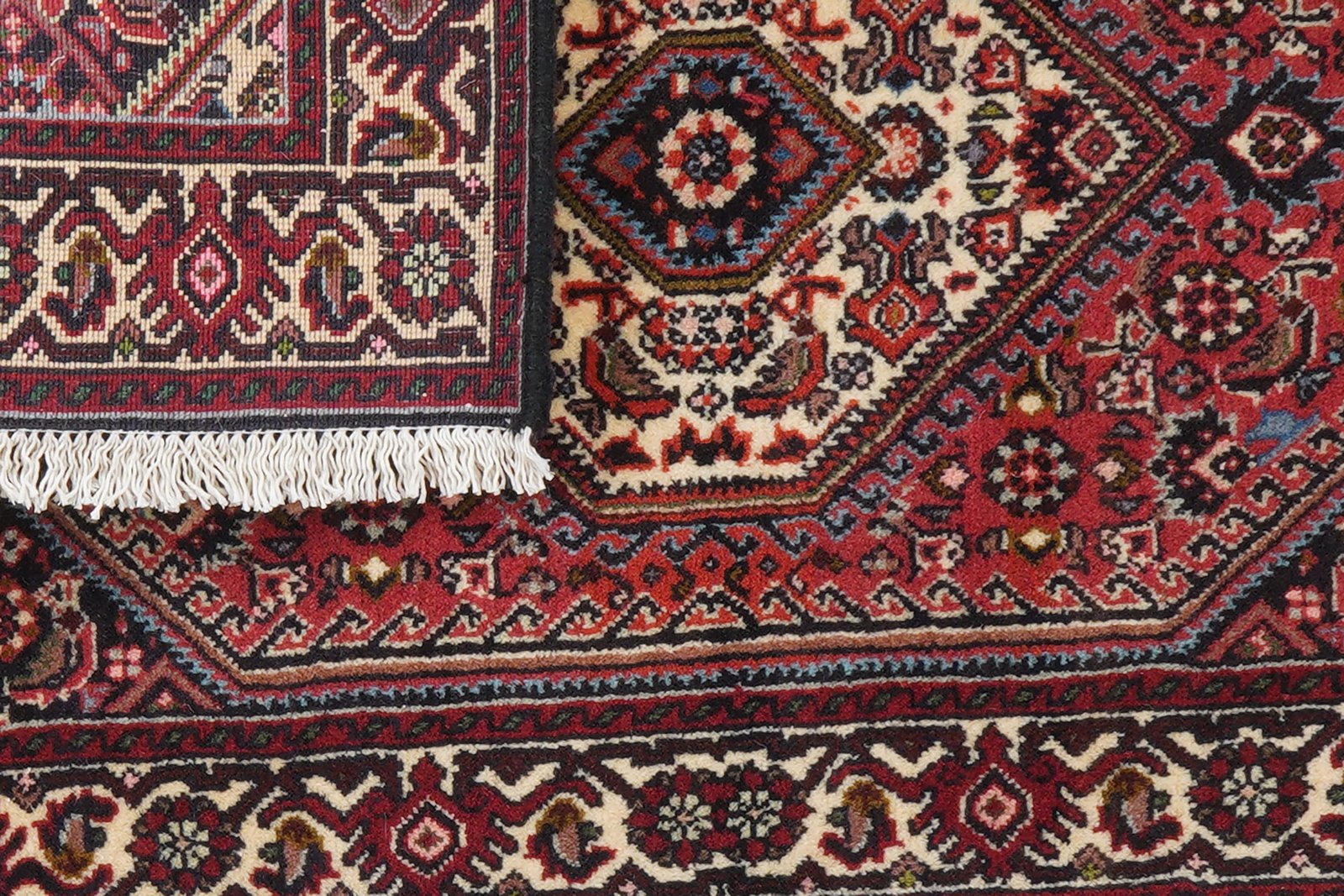 Bidjar Zandjan — Hand-knotted, 64x96 cm, Red, 100% Virgin Wool | View 7