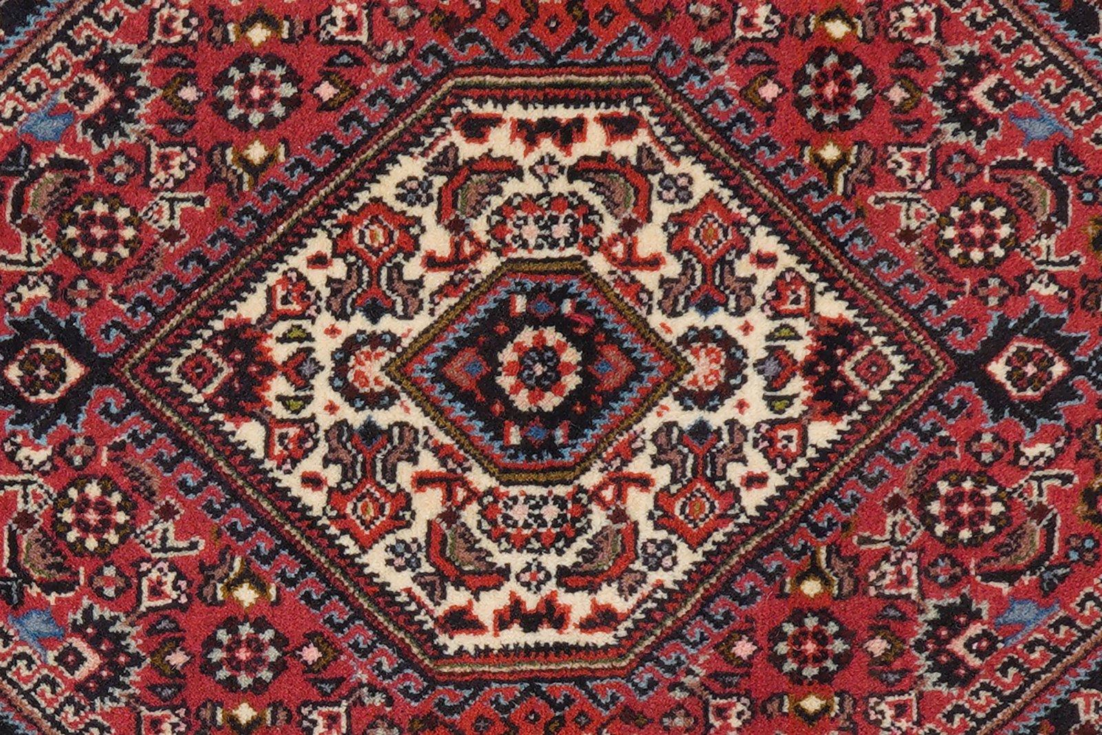 Bidjar Zandjan — Hand-knotted, 64x96 cm, Red, 100% Virgin Wool | View 8