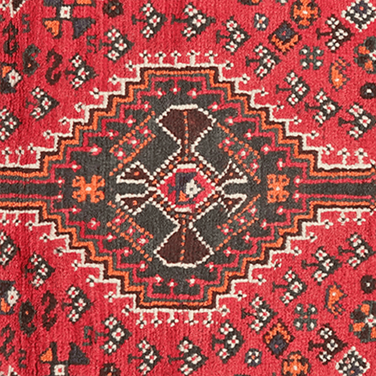 Shiraz — Hand-knotted, 80x120 cm, Red, 100% Virgin Wool | View 4