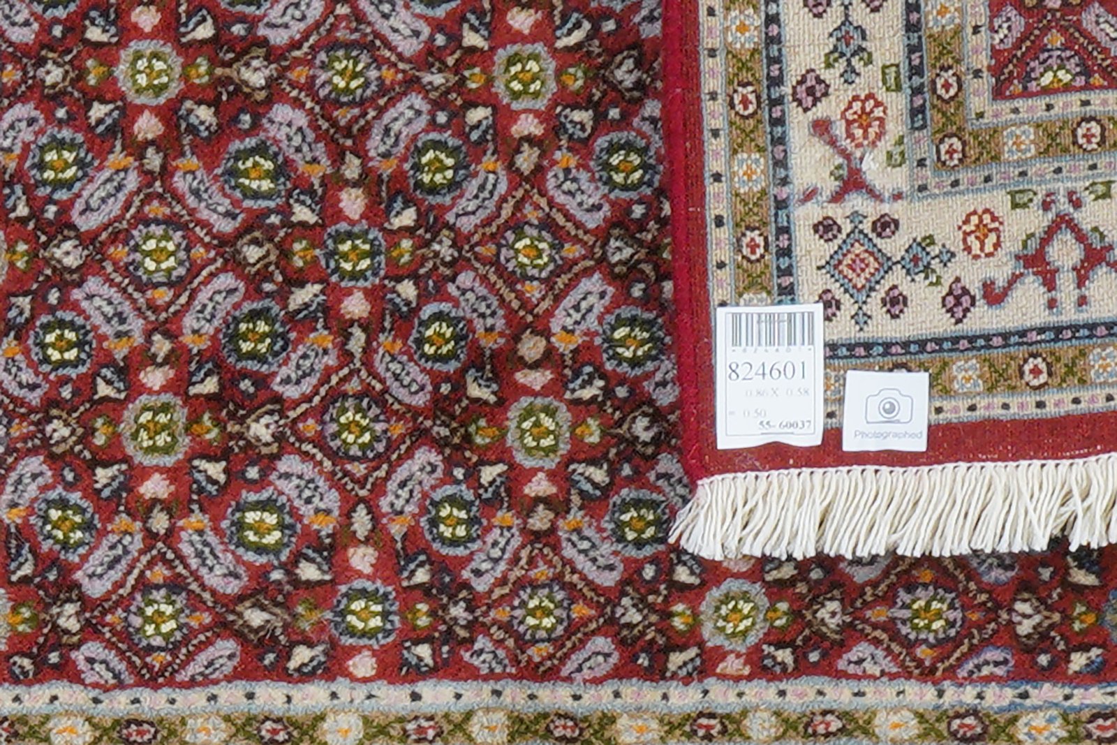 Moud Mahi — Hand-knotted, 58x86 cm, Red, 100% Virgin Wool | View 6