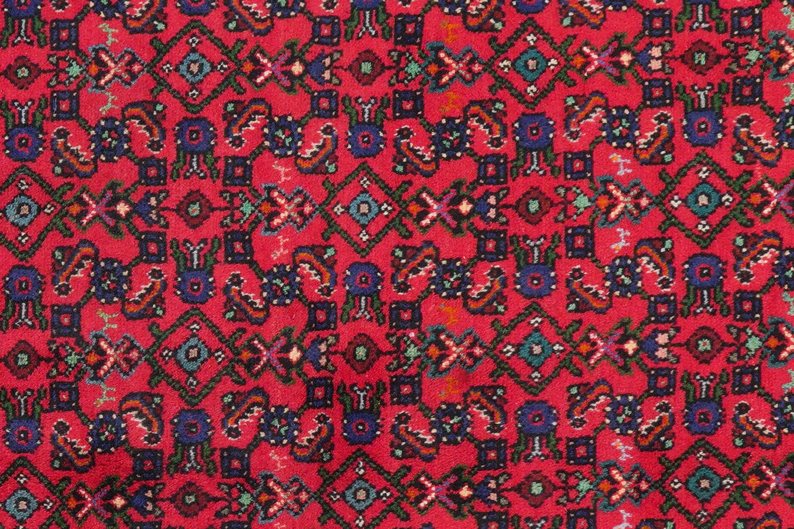 Indjelass — Hand-knotted, 207x301 cm, Red, 100% Virgin Wool | View 7