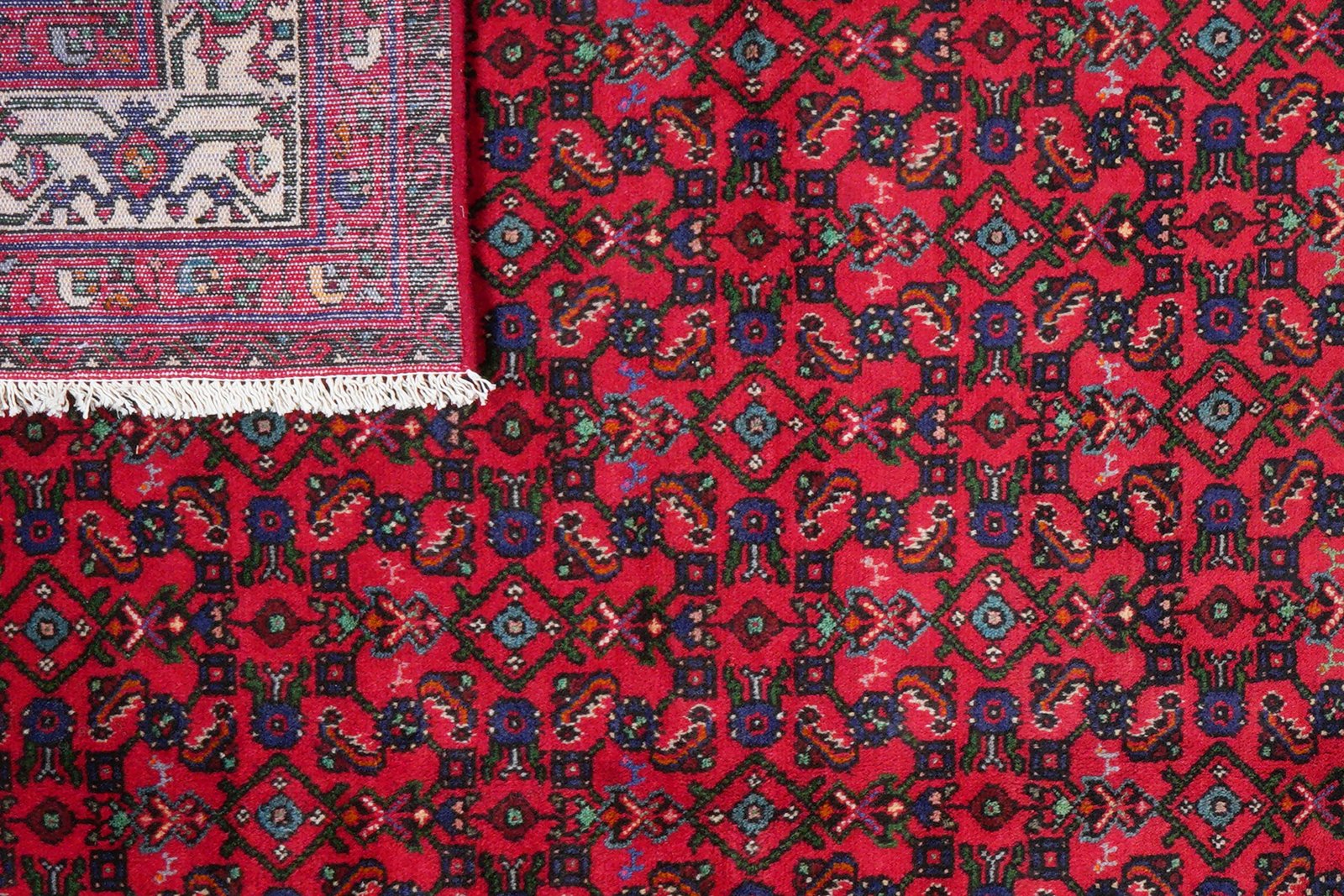 Indjelass — Hand-knotted, 207x301 cm, Red, 100% Virgin Wool | View 8