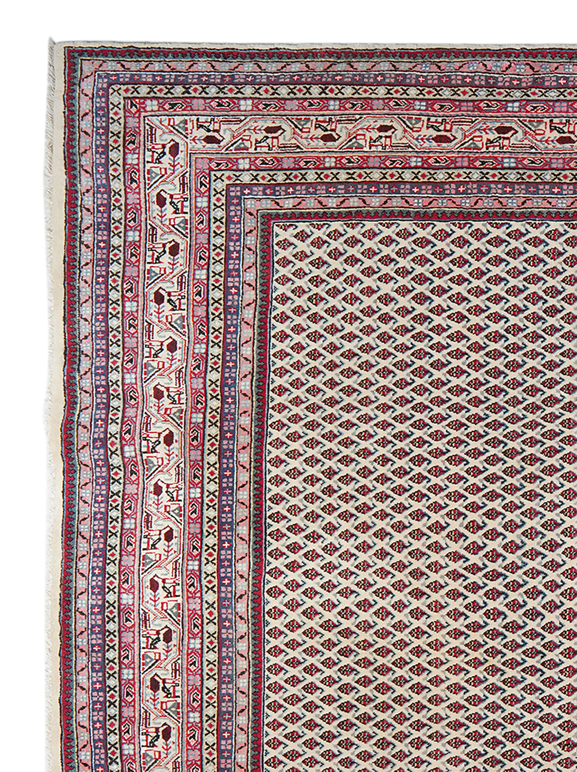 Sarough — Hand-knotted, 222x324 cm, Beige, 100% Virgin Wool | View 3