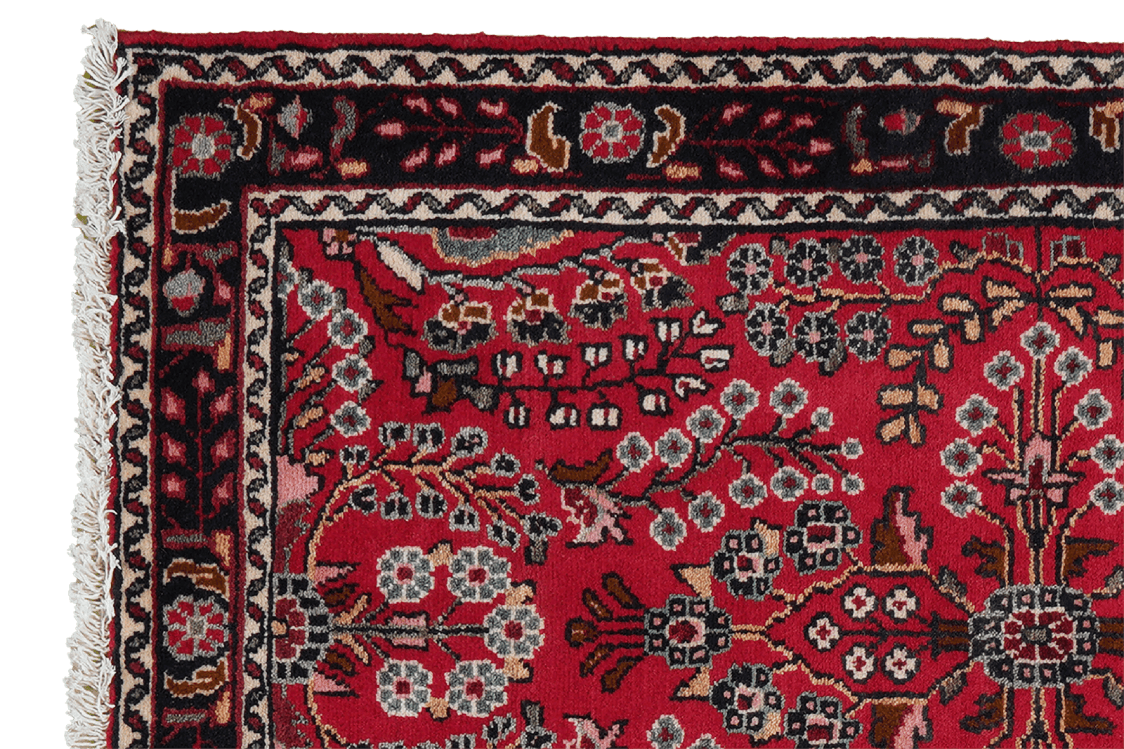 Dardjazin — Hand-knotted, 82x133 cm, Red, 100% Virgin Wool | View 3