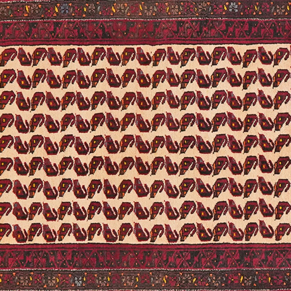 Belutch — Hand-knotted, 102x207 cm, Multicolor, 100% Virgin Wool | View 4