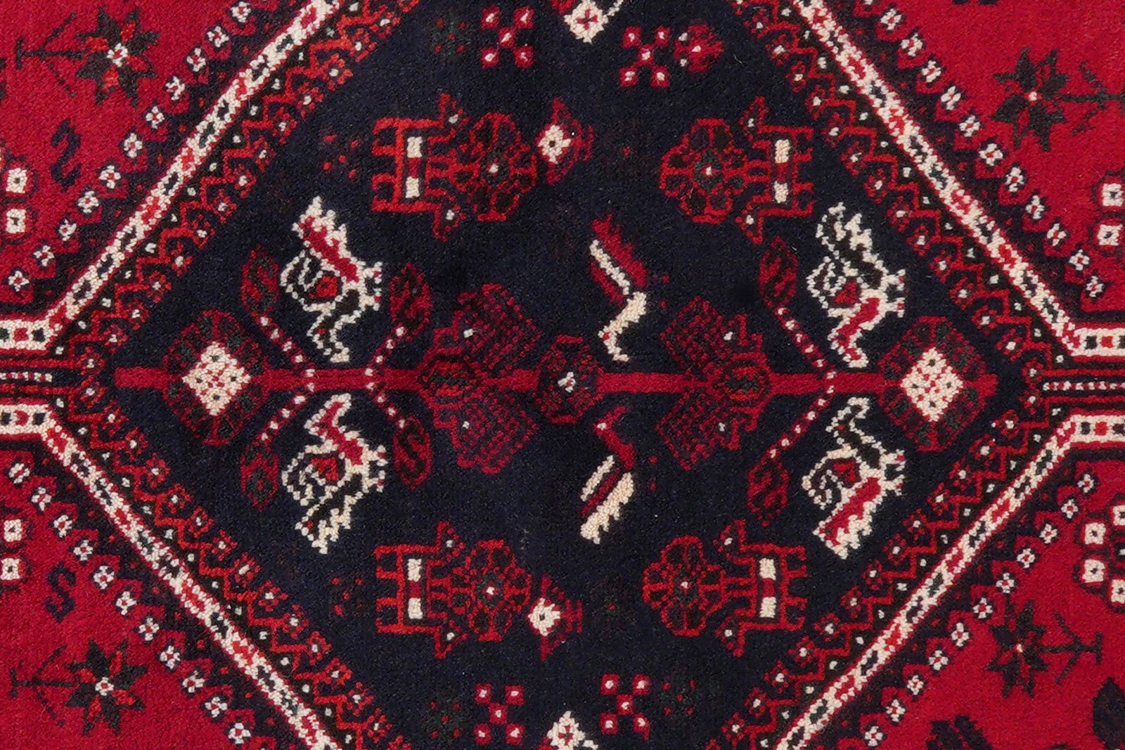 Gashgai — Hand-knotted, 206x291 cm, Red, 100% Virgin Wool | View 7