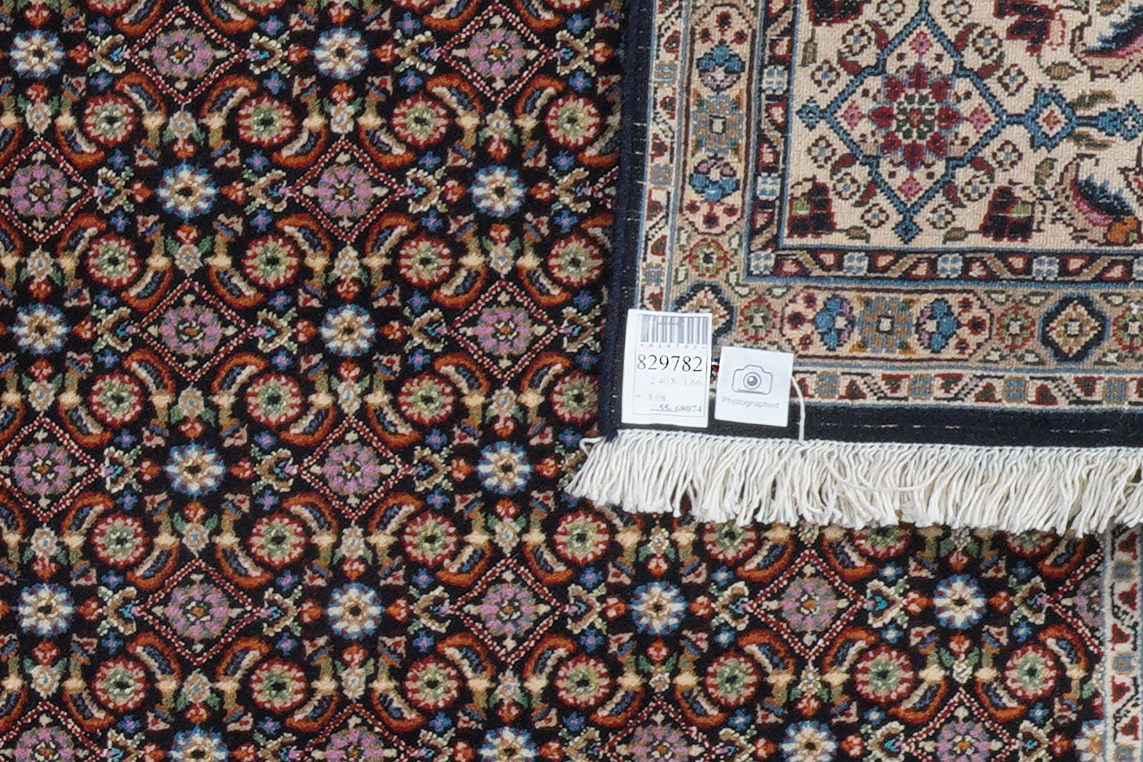 Moud Mahi — Handgefertigt, 240x166 cm, Beige, 100% Virgin Wool | View 7