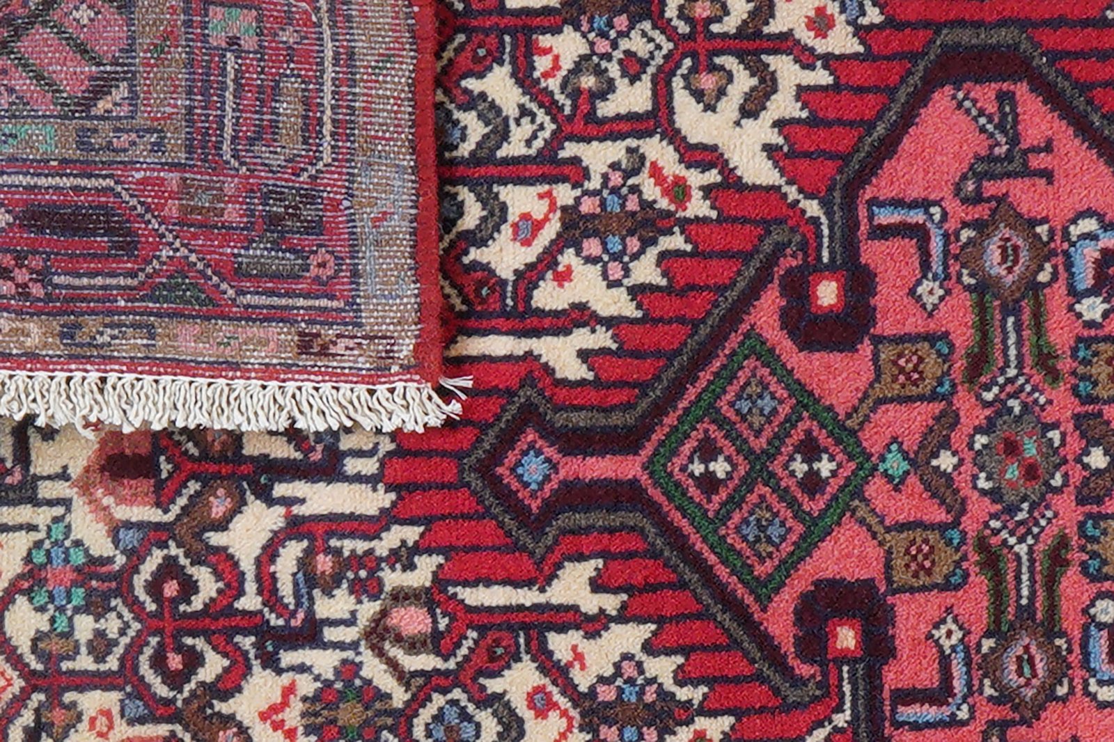 Assadabad — Hand-knotted, 77x116 cm, Beige, 100% Virgin Wool | View 8