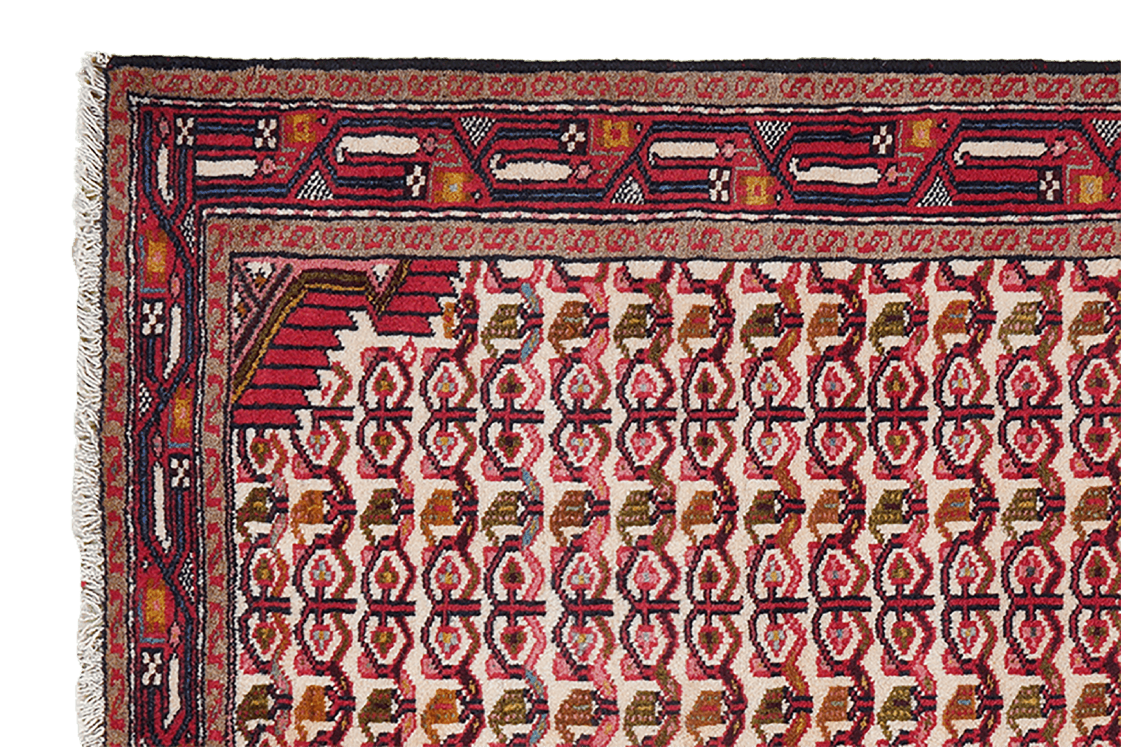 Assadabad — Hand-knotted, 80x199 cm, Beige, 100% Virgin Wool | View 3