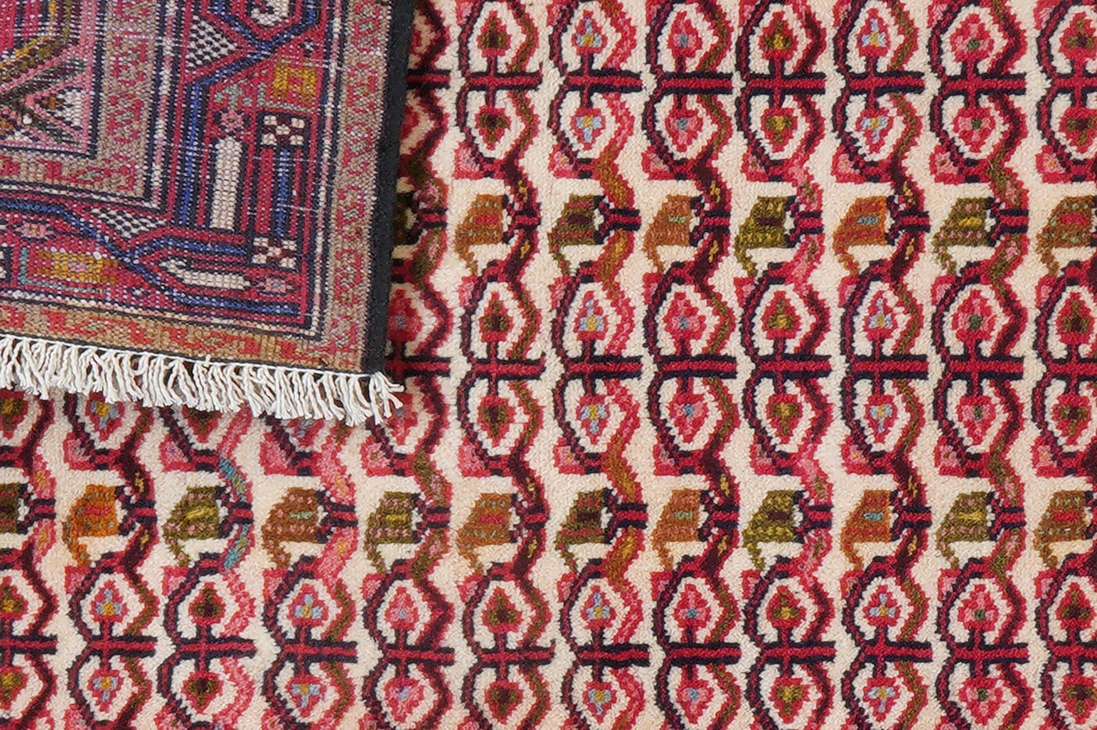 Assadabad — Hand-knotted, 80x199 cm, Beige, 100% Virgin Wool | View 8