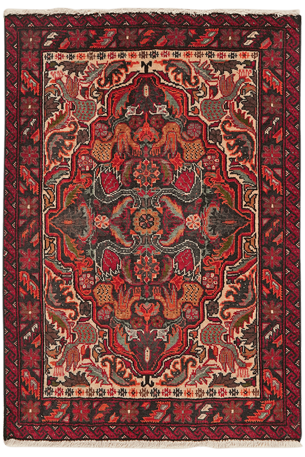 Belutch — Hand-knotted, 69x98 cm, Multicolor, 100% Virgin Wool | Main view