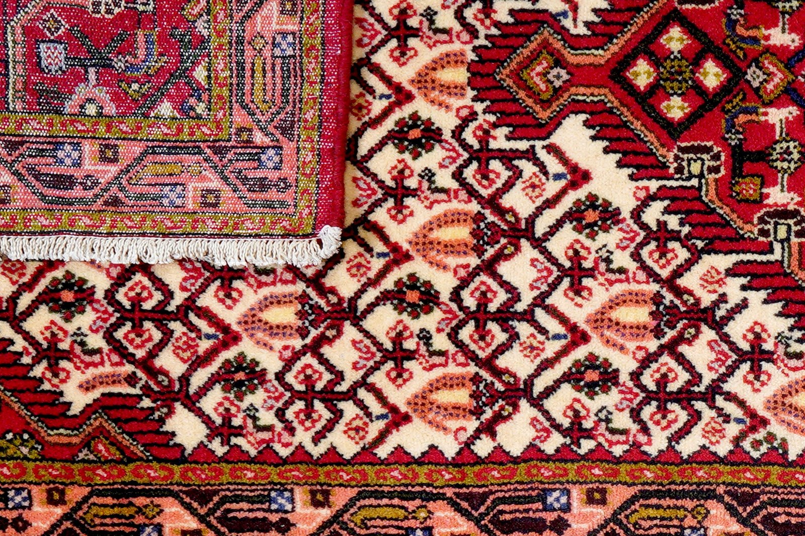 Assadabad — Hand-knotted, 80x193 cm, Beige, 100% Virgin Wool | View 7