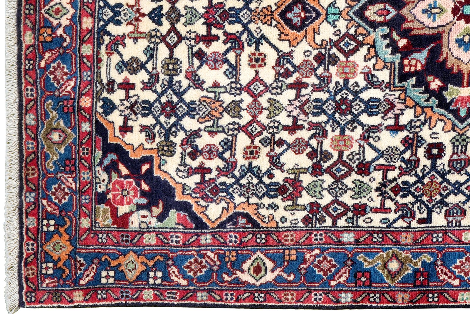 Bidjar Zandjan — Hand-knotted, 100x152 cm, Beige, 100% Virgin Wool | View 3