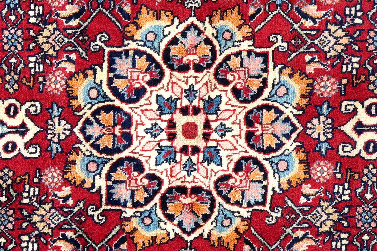 Bidjar Zandjan — Hand-knotted, 100x149 cm, Red, 100% Virgin Wool | View 6