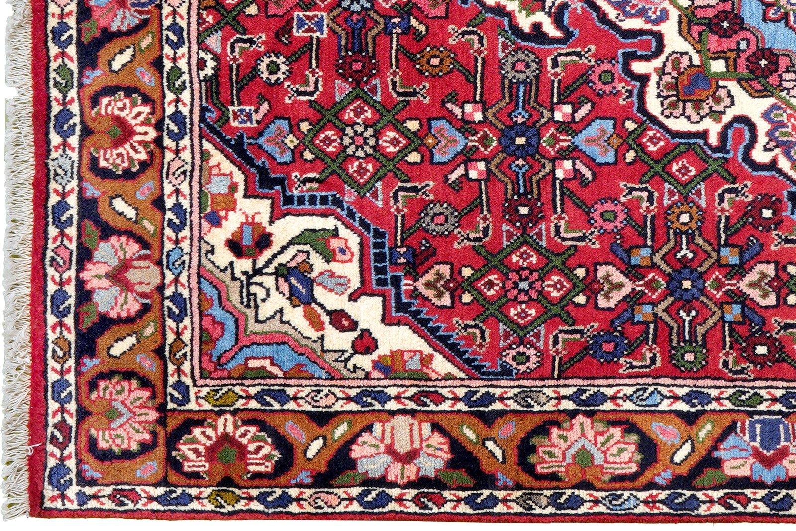 Bidjar Zandjan — Hand-knotted, 103x150 cm, Red, 100% Virgin Wool | View 3