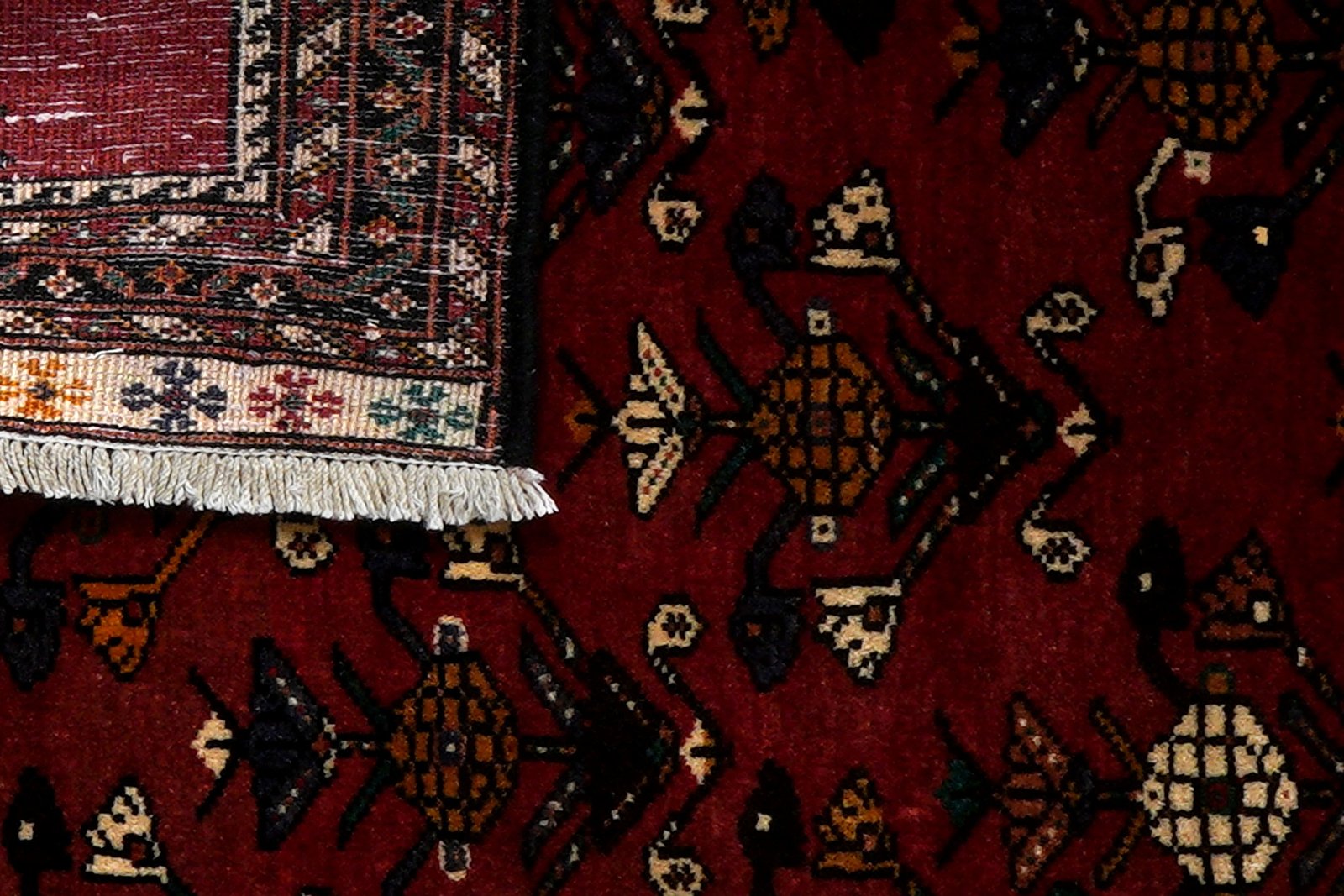 Nasrabad — Hand-knotted, 96x120 cm, Red, 100% Virgin Wool | View 7