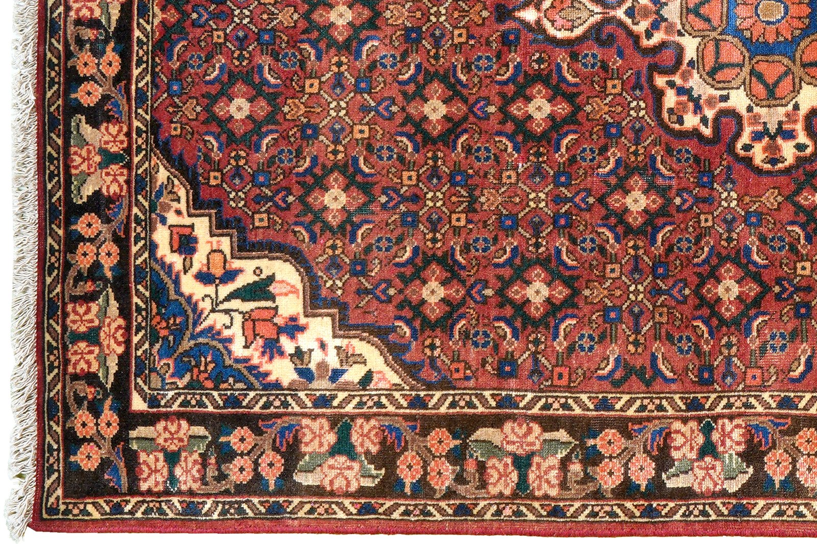 Heritage — Hand-knotted, 104x147 cm, Red, 100% Virgin Wool | View 3