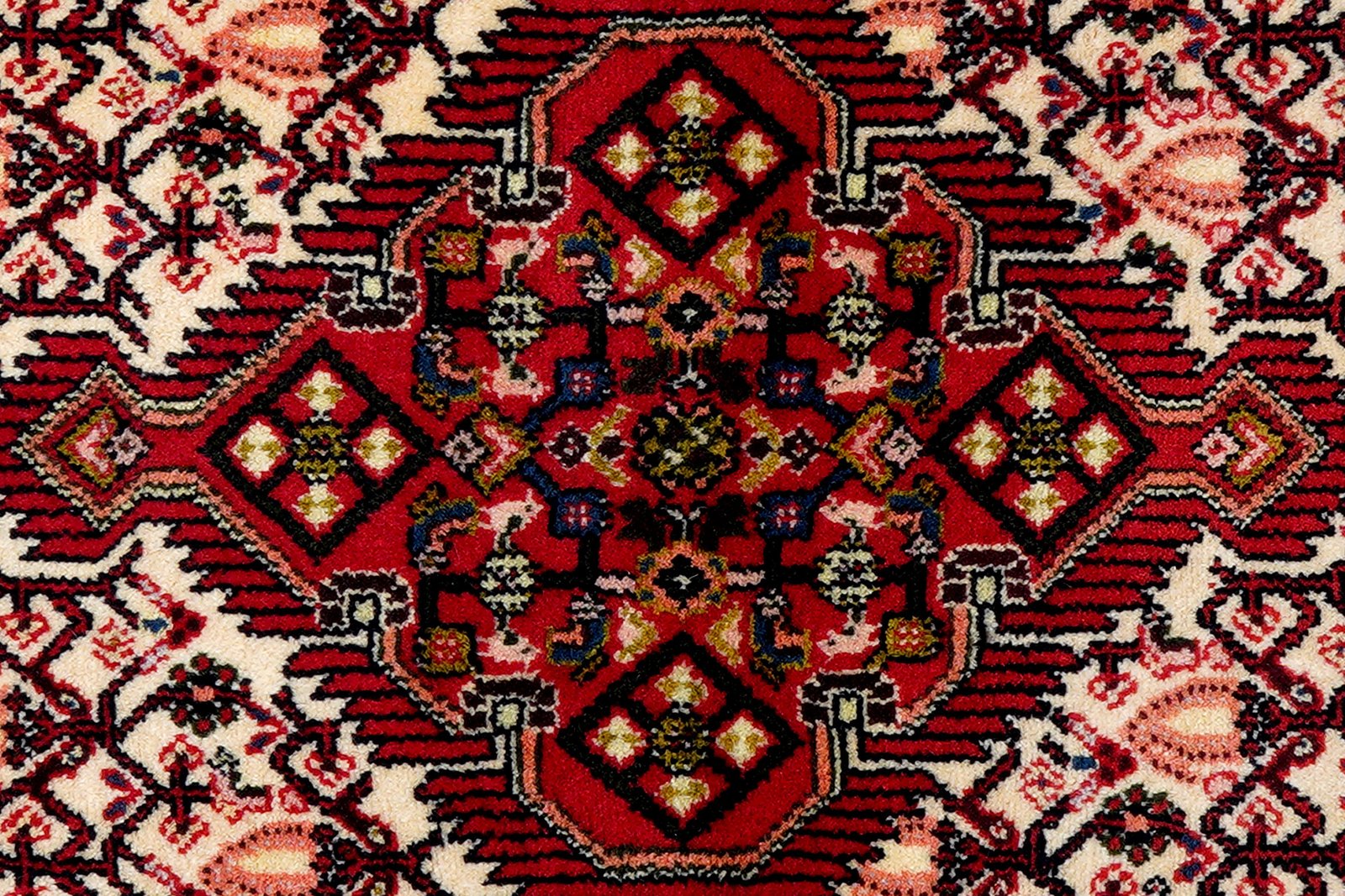 Assadabad — Hand-knotted, 80x195 cm, Beige, 100% Virgin Wool | View 6