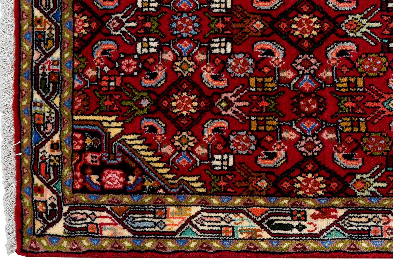 Assadabad — Hand-knotted, 79x204 cm, Red, 100% Virgin Wool | View 3