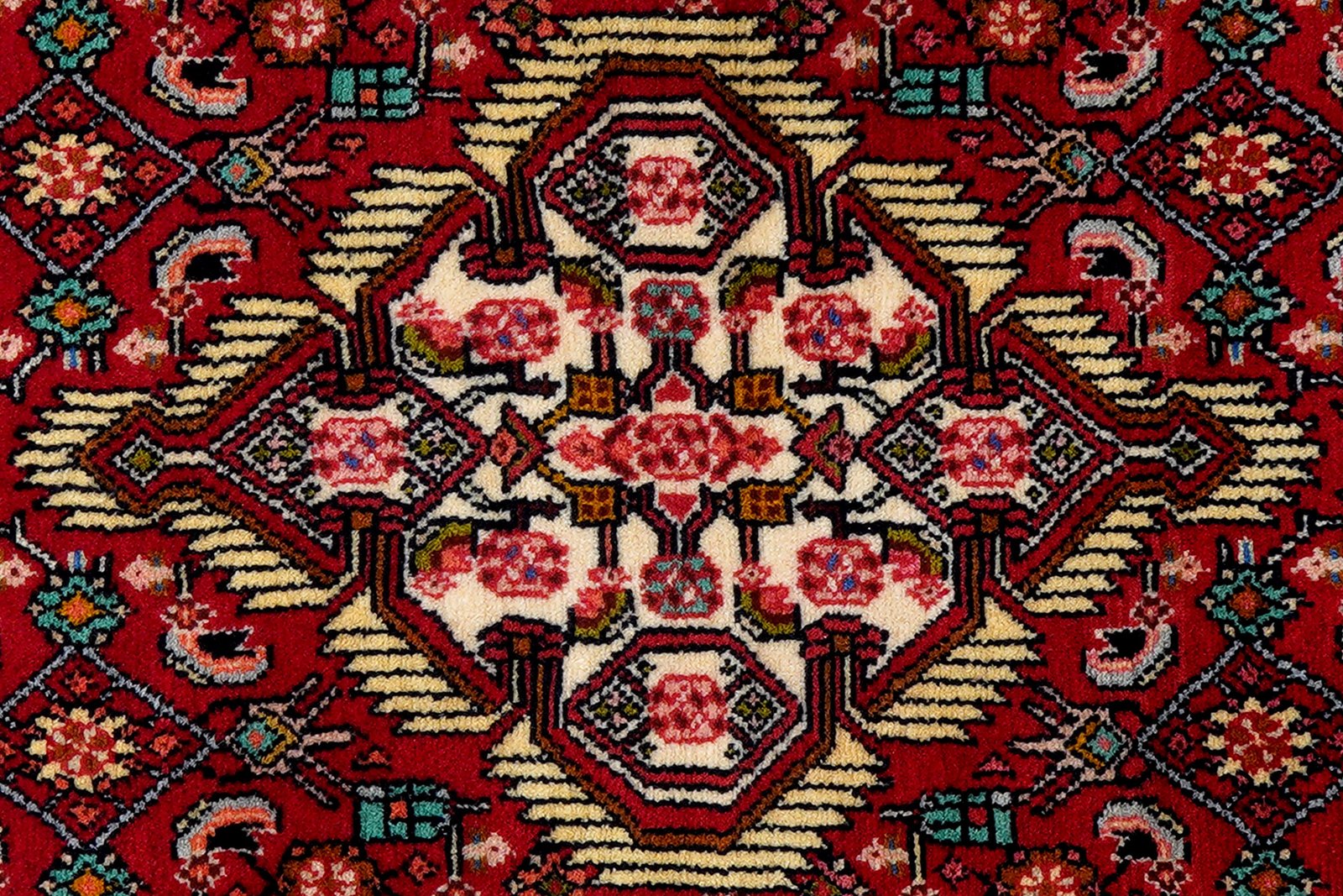 Assadabad — Hand-knotted, 79x204 cm, Red, 100% Virgin Wool | View 6
