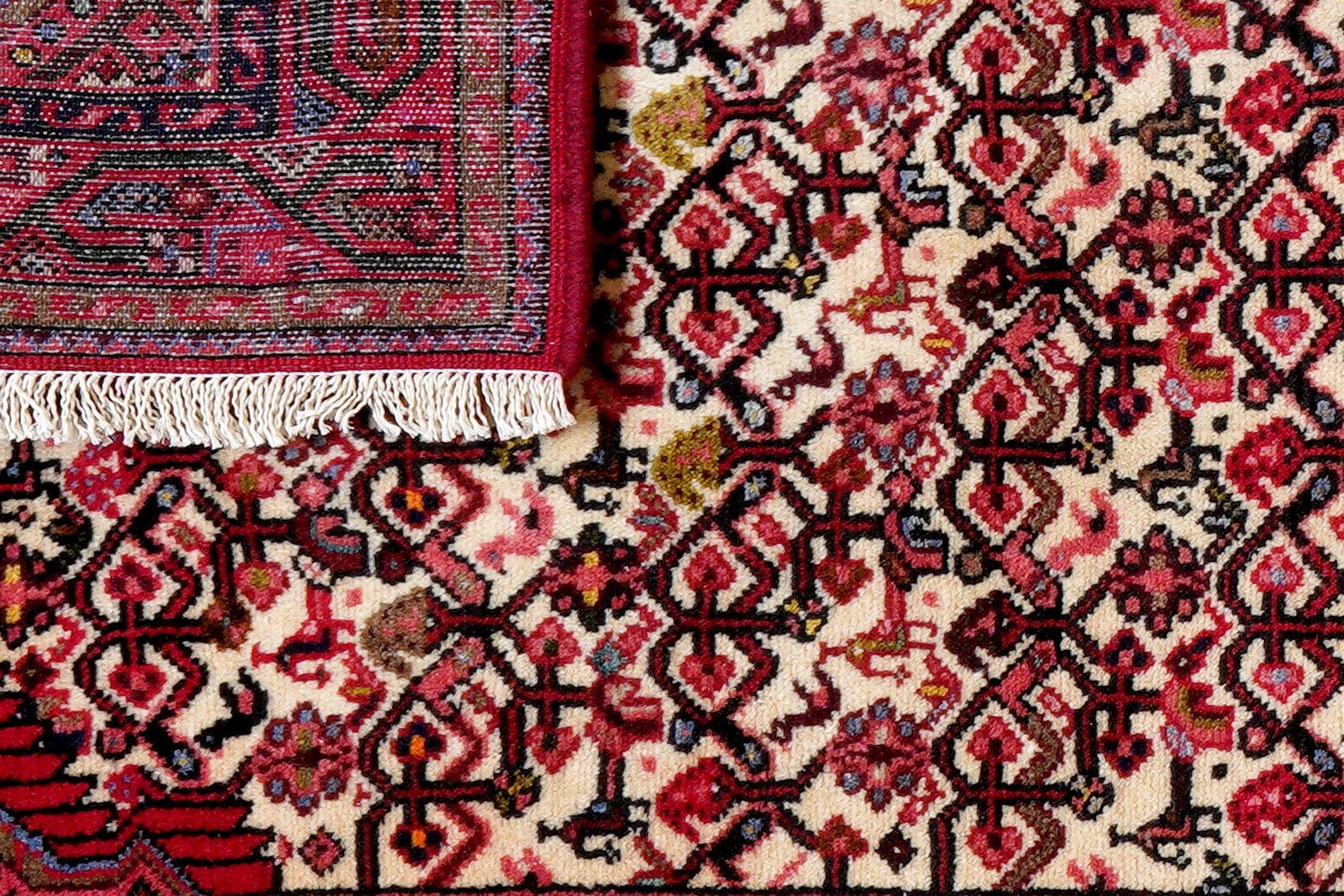 Assadabad — Hand-knotted, 79x209 cm, Beige, 100% Virgin Wool | View 7
