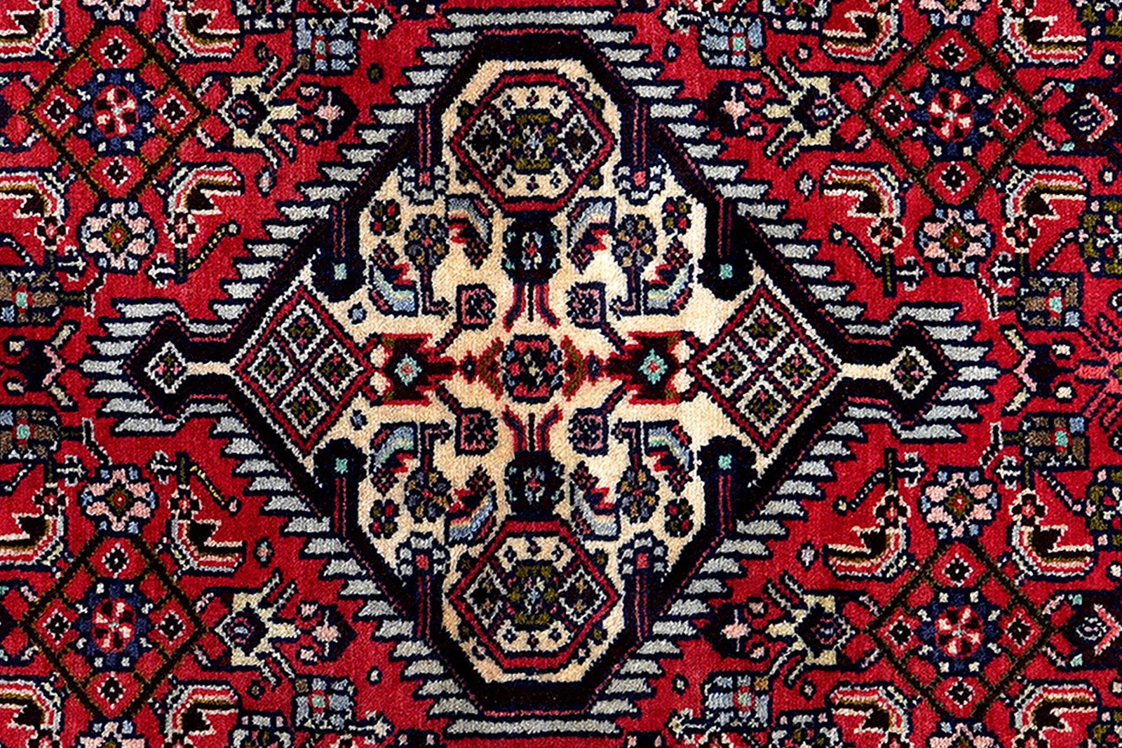 Assadabad — Hand-knotted, 81x196 cm, Red, 100% Virgin Wool | View 6