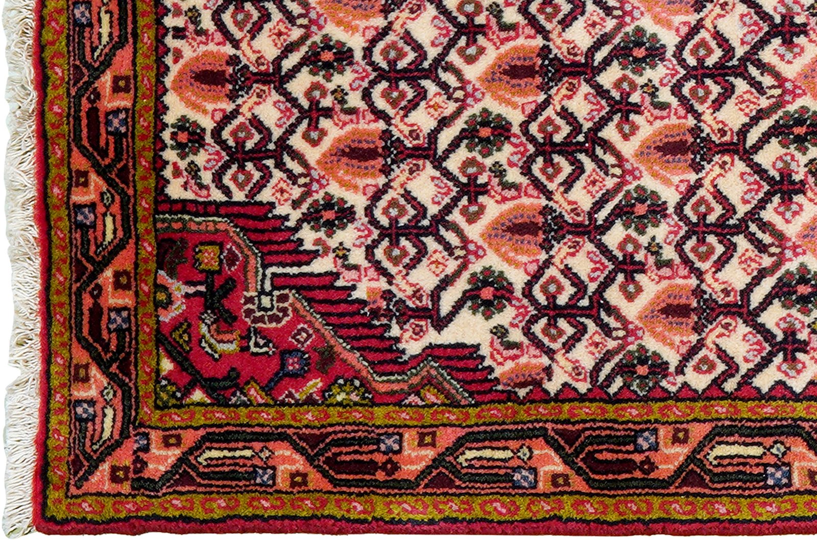 Assadabad — Hand-knotted, 74x185 cm, Beige, 100% Virgin Wool | View 3