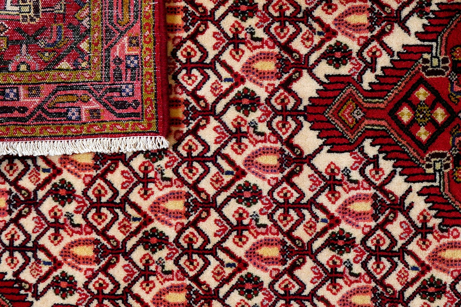 Assadabad — Hand-knotted, 81x189 cm, Beige, 100% Virgin Wool | View 7