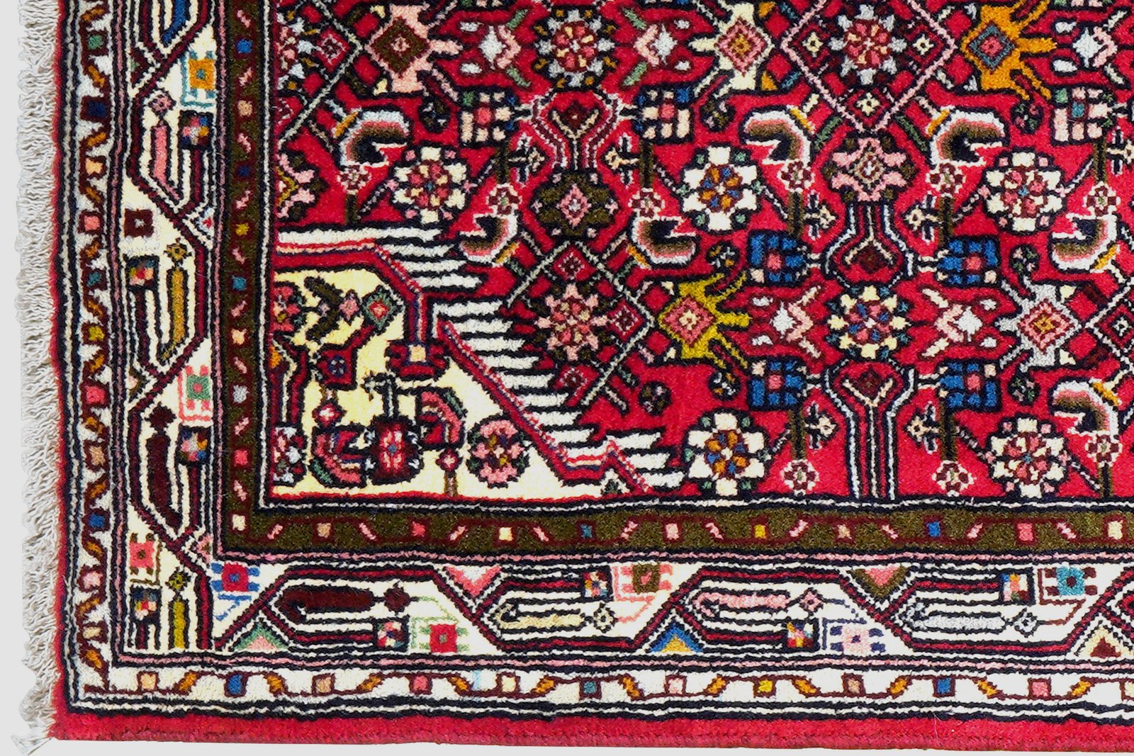 Assadabad — Hand-knotted, 77x201 cm, Red, 100% Virgin Wool | View 3