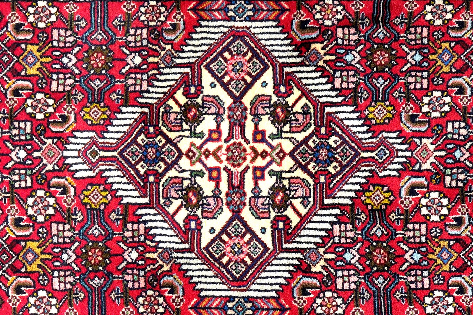 Assadabad — Hand-knotted, 77x201 cm, Red, 100% Virgin Wool | View 6