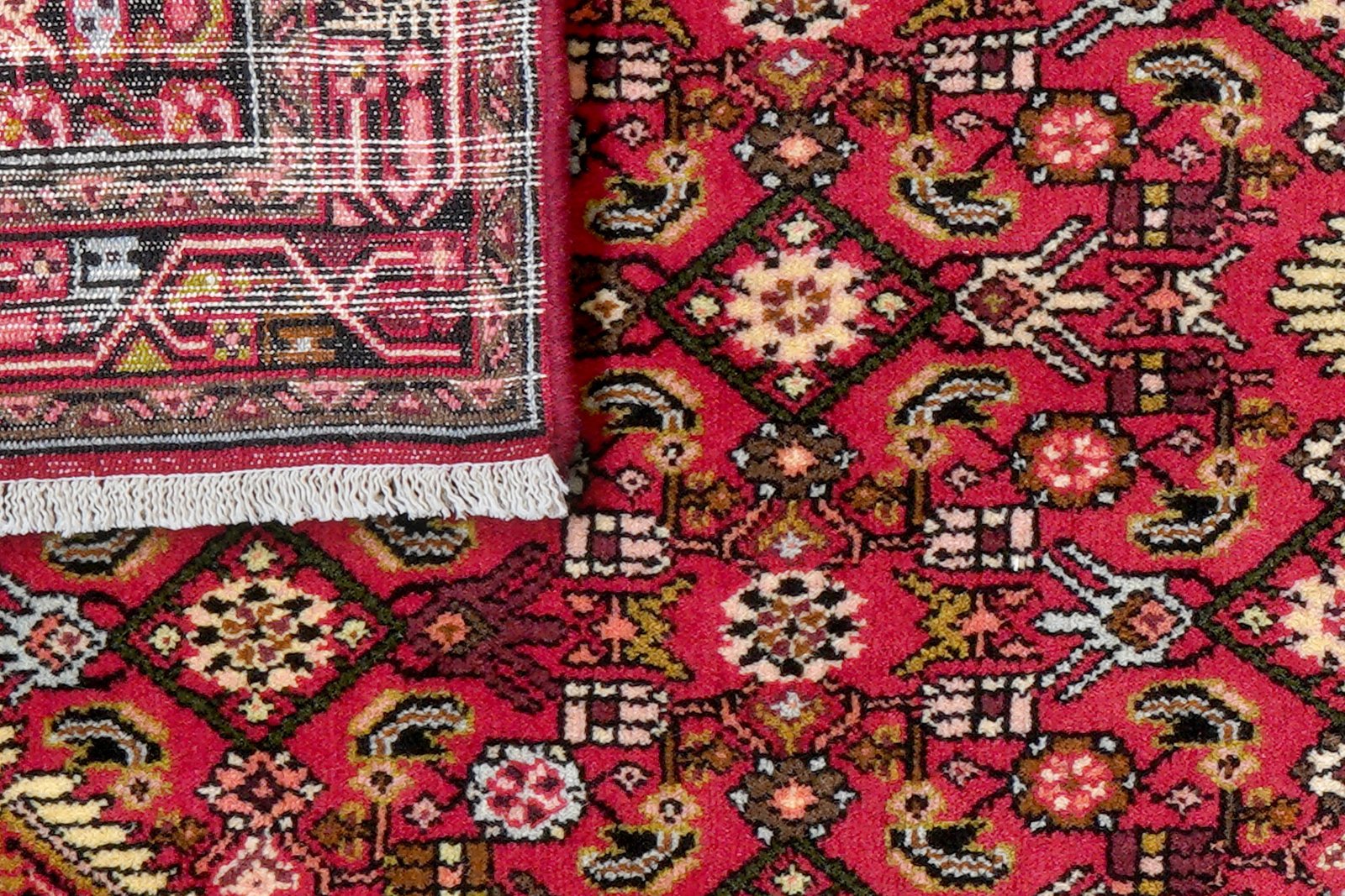 Assadabad — Hand-knotted, 79x211 cm, Red, 100% Virgin Wool | View 7