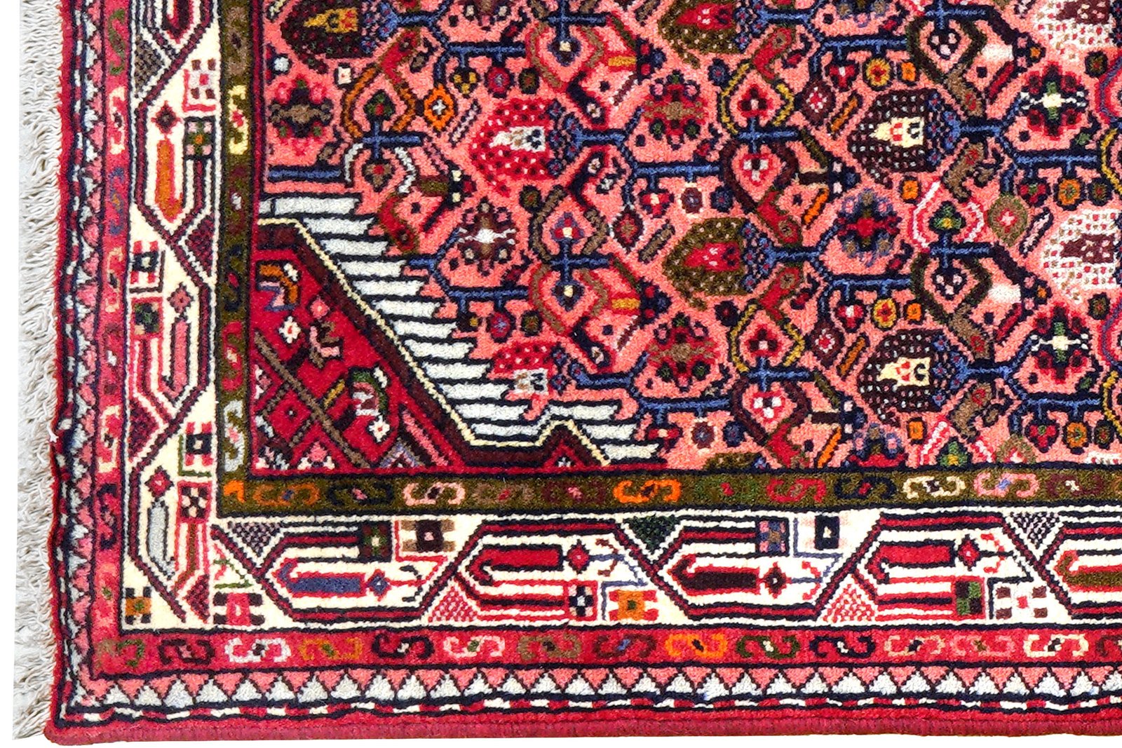 Assadabad — Hand-knotted, 80x203 cm, Red, 100% Virgin Wool | View 3