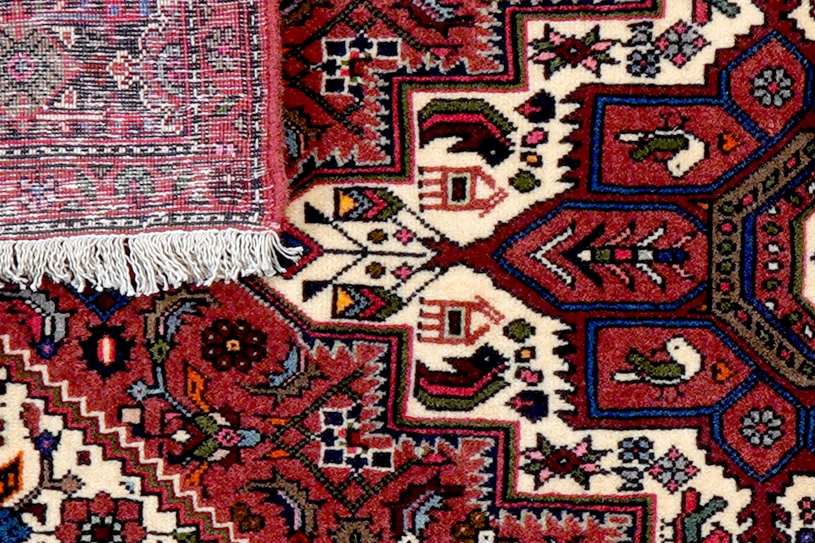 Goltuk — Hand-knotted, 75x129 cm, Red, 100% Virgin Wool | View 7
