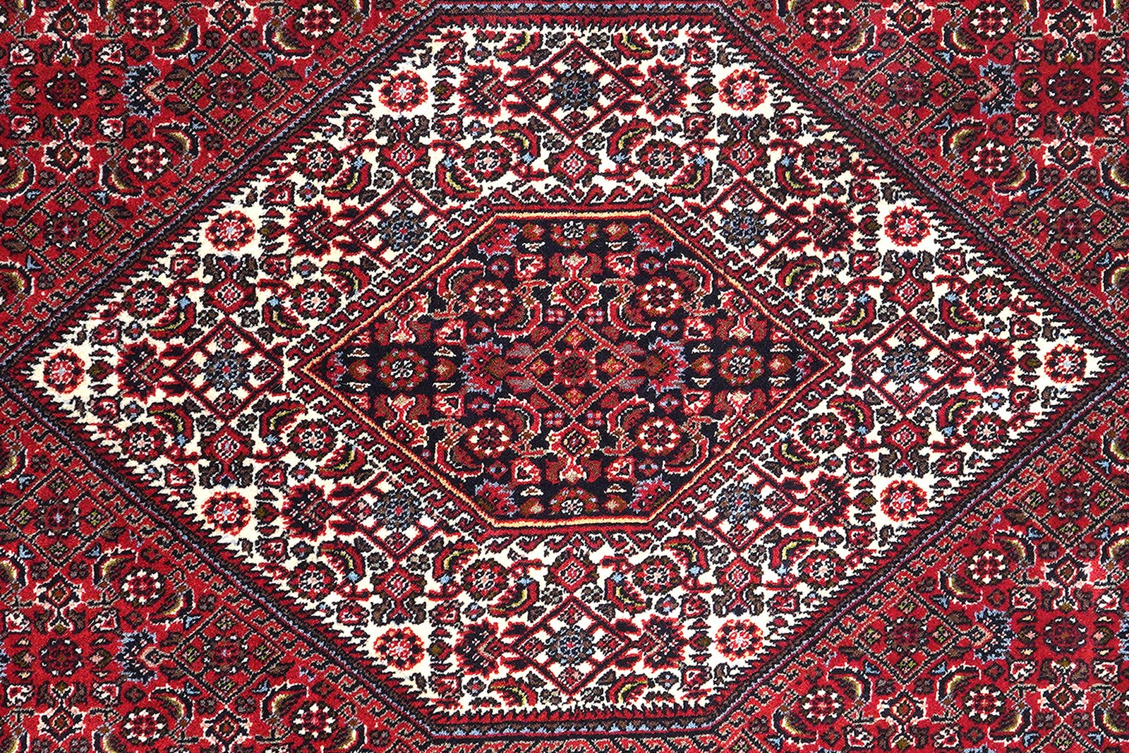 Bidjar Zandjan — Hand-knotted, 167x252 cm, Red, 100% Virgin Wool | View 6