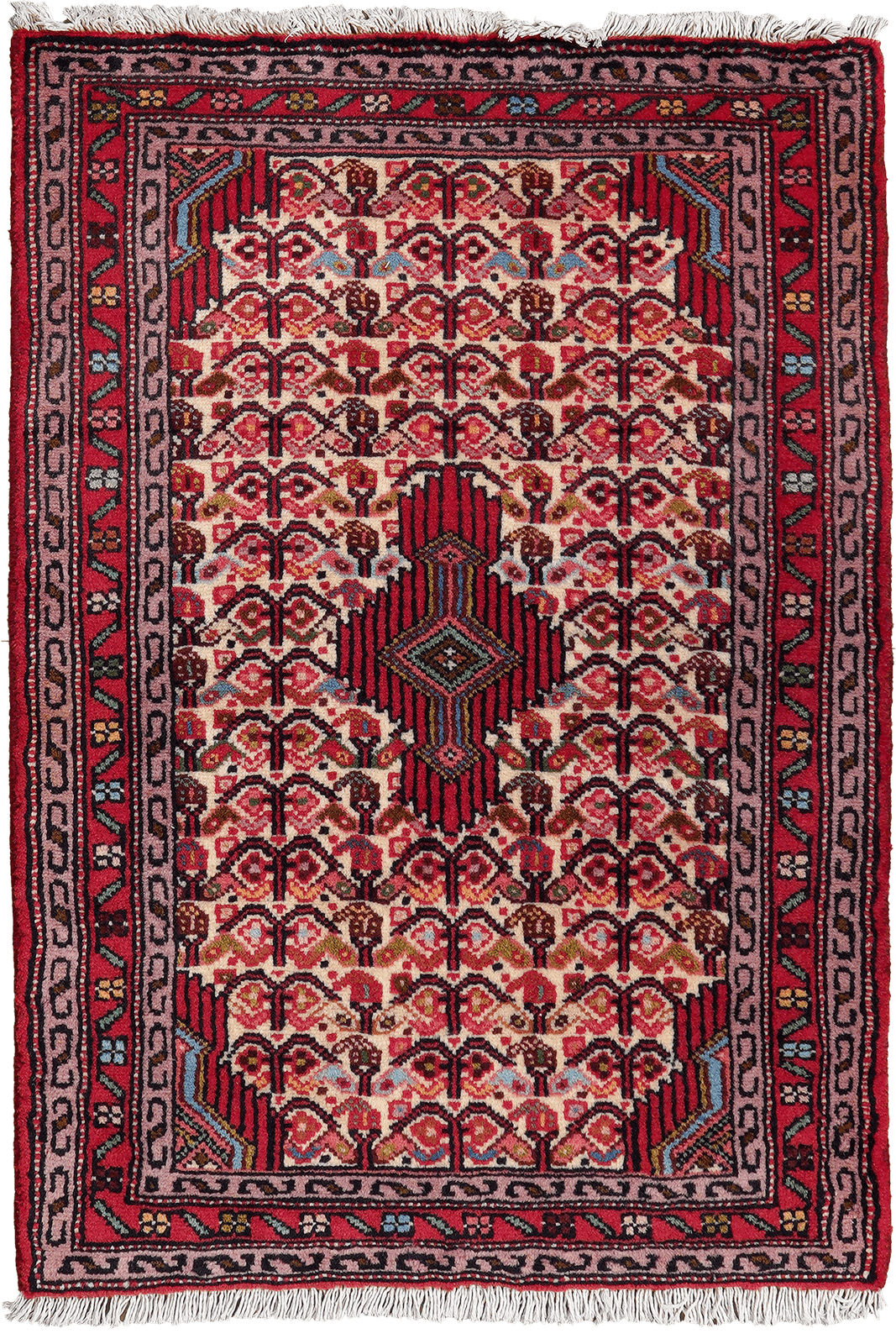 Assadabad — Hand-knotted, 65x95 cm, Beige, 100% Virgin Wool | Main view