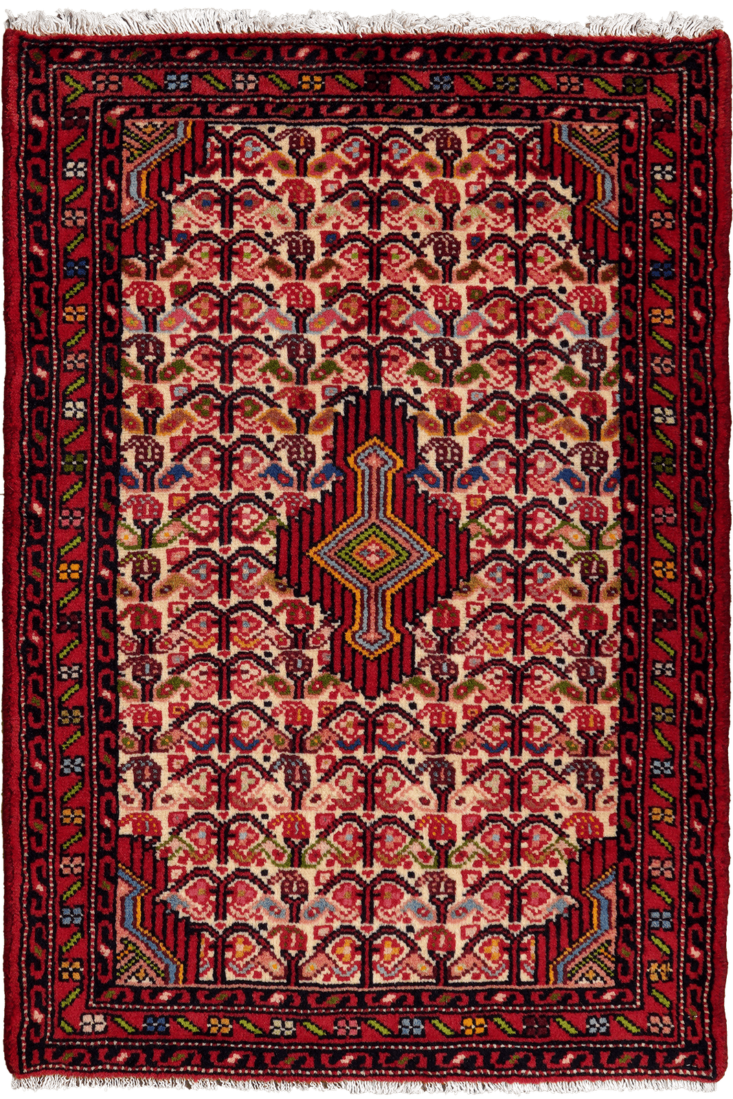 Assadabad — Hand-knotted, 70x102 cm, Beige, 100% Virgin Wool | Main view