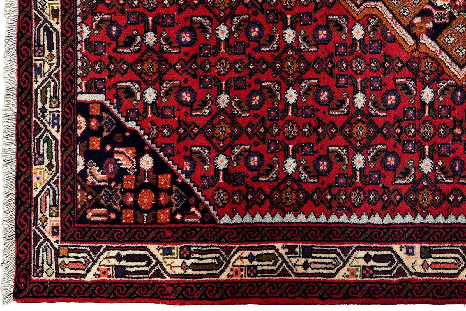 Assadabad — Hand-knotted, 106x161 cm, Red, 100% Virgin Wool | View 3