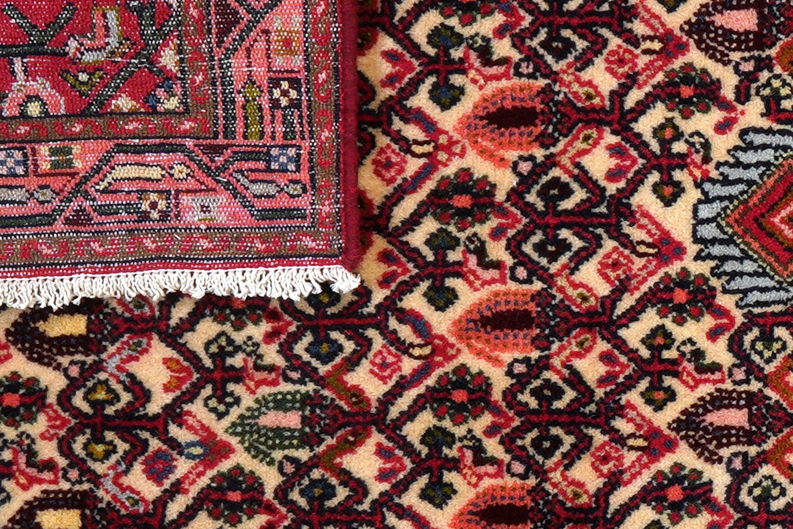 Assadabad — Hand-knotted, 81x190 cm, Beige, 100% Virgin Wool | View 7