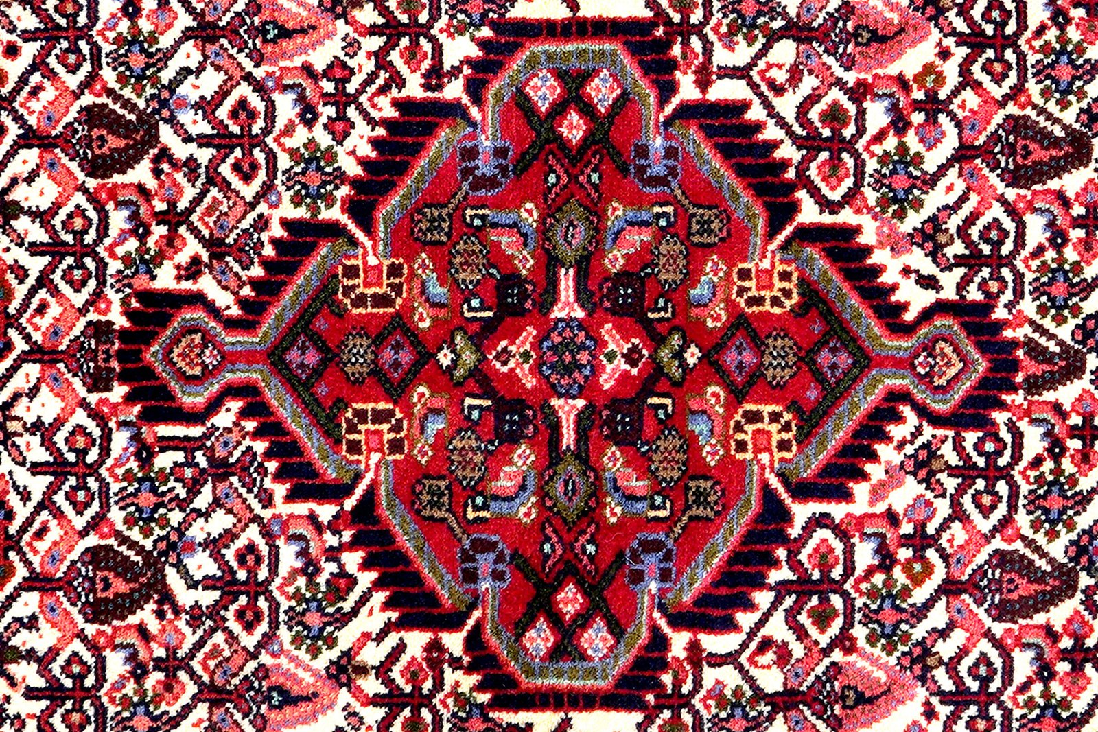 Assadabad — Hand-knotted, 82x196 cm, Beige, 100% Virgin Wool | View 6