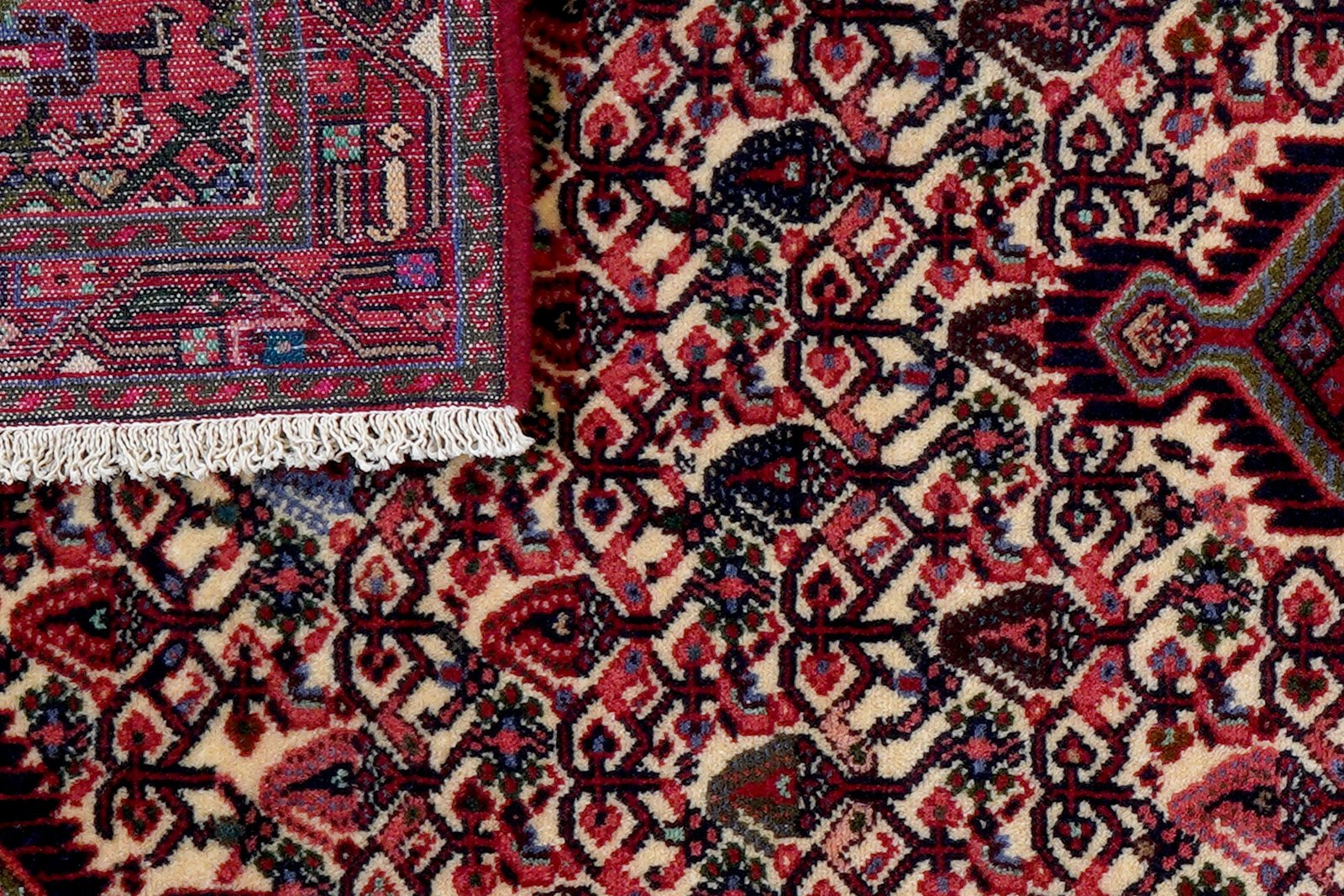 Assadabad — Hand-knotted, 82x196 cm, Beige, 100% Virgin Wool | View 7