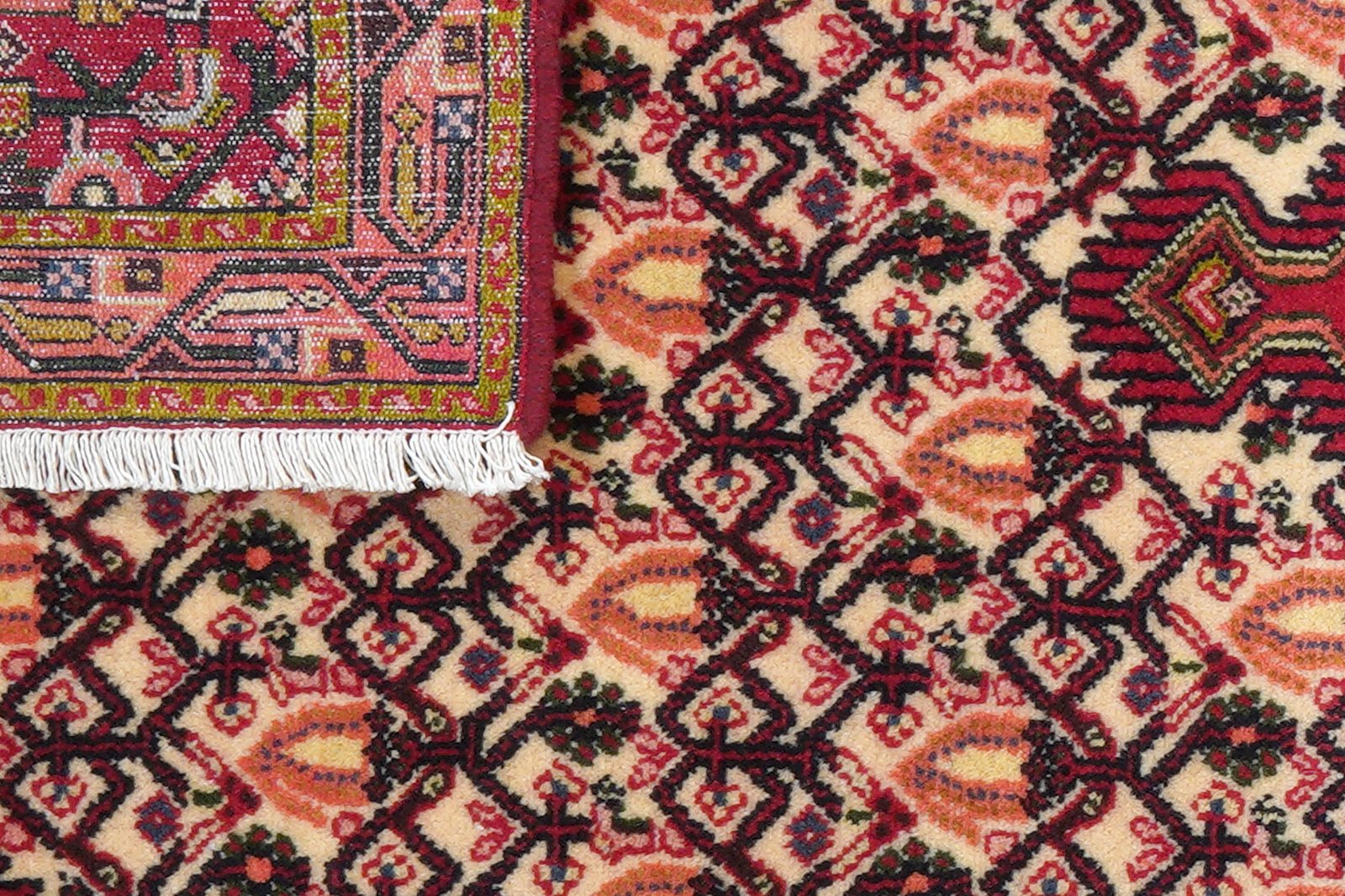 Assadabad — Hand-knotted, 81x195 cm, Multicolor, 100% Virgin Wool | View 7