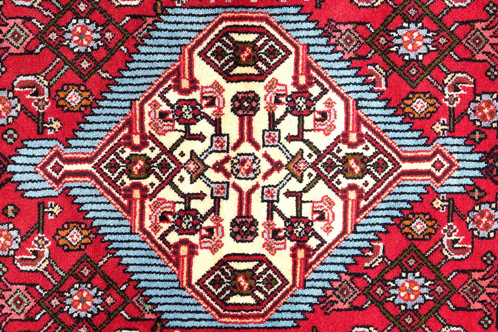 Assadabad — Hand-knotted, 83x195 cm, Red, 100% Virgin Wool | View 6