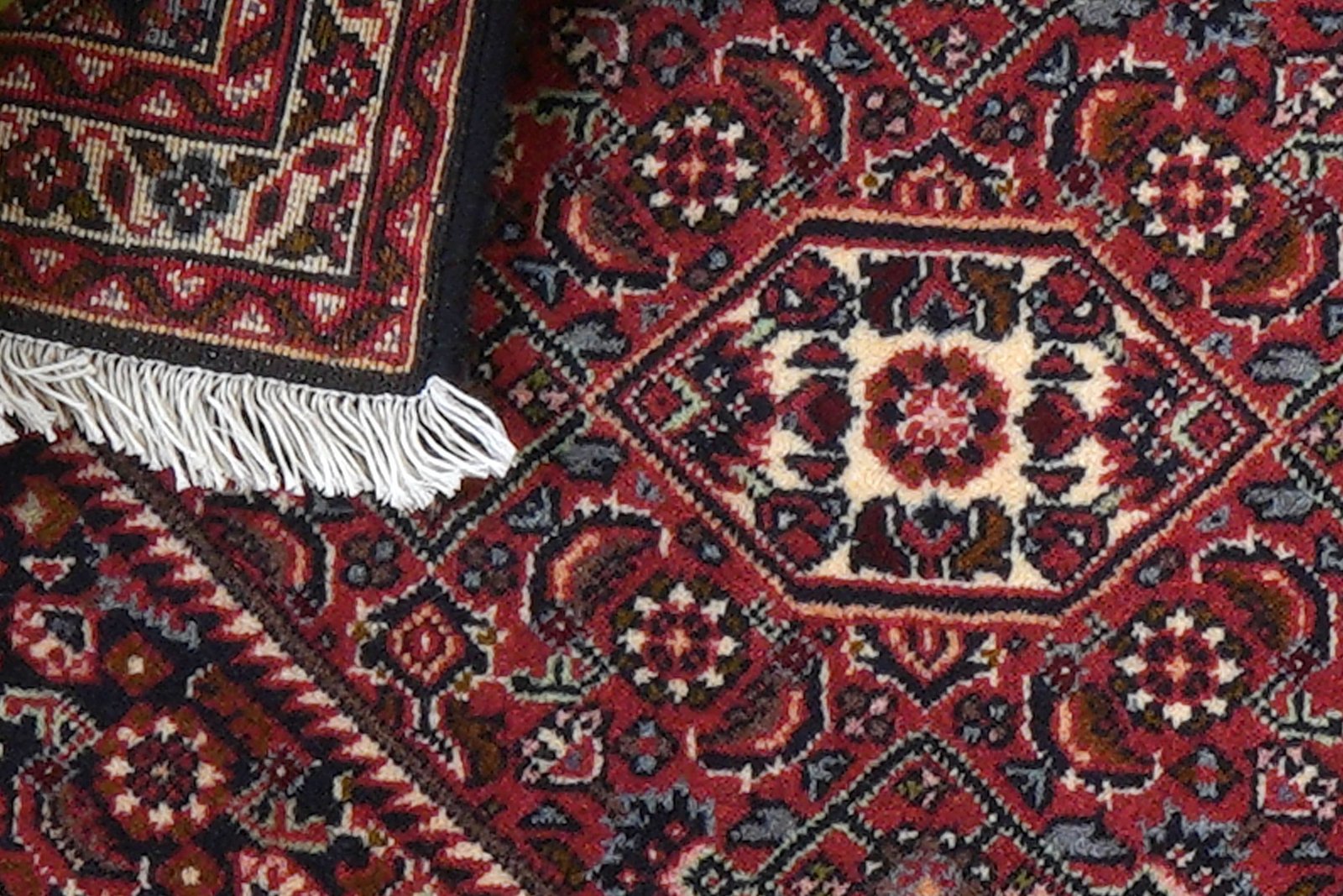 Bidjar Zandjan — Hand-knotted, 45x65 cm, Blue, 100% Virgin Wool | View 7