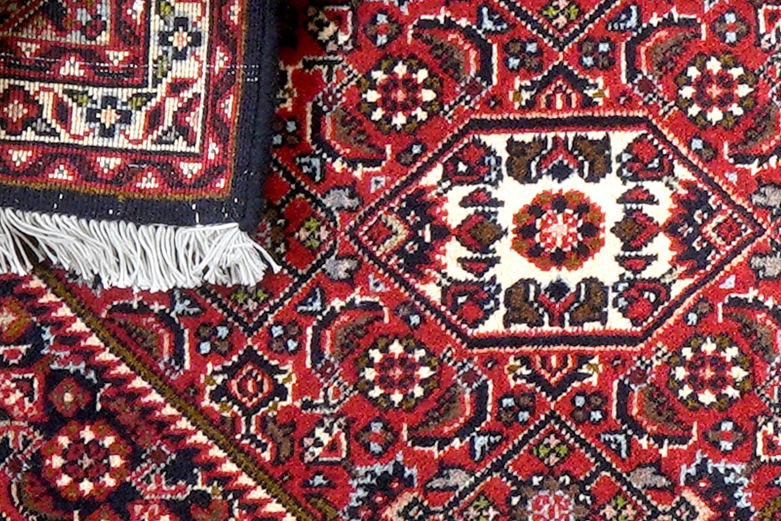 Bidjar Zandjan — Hand-knotted, 45x67 cm, Blue, 100% Virgin Wool | View 7