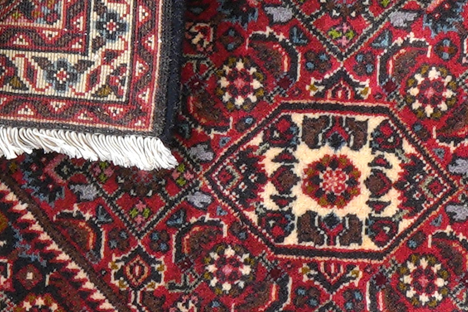 Bidjar Zandjan — Hand-knotted, 47x64 cm, Blue, 100% Virgin Wool | View 7