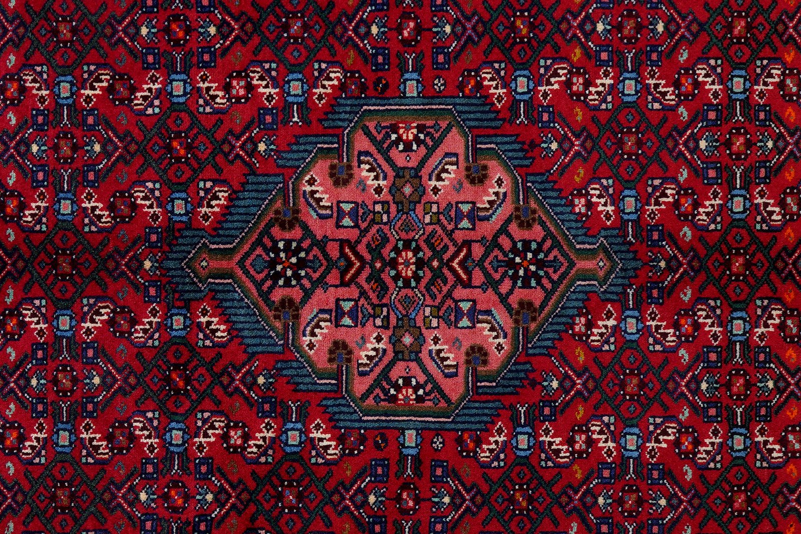 Assadabad — Hand-knotted, 125x197 cm, Red, 100% Virgin Wool | View 6