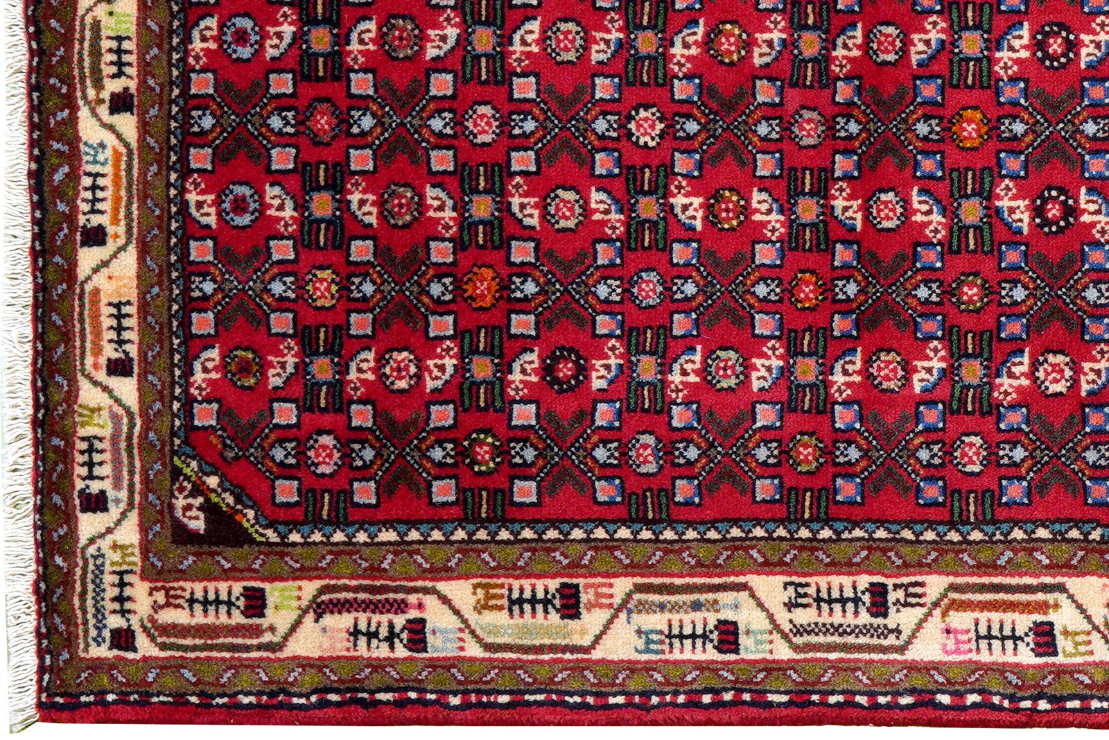 Assadabad — Hand-knotted, 84x205 cm, Red, 100% Virgin Wool | View 3