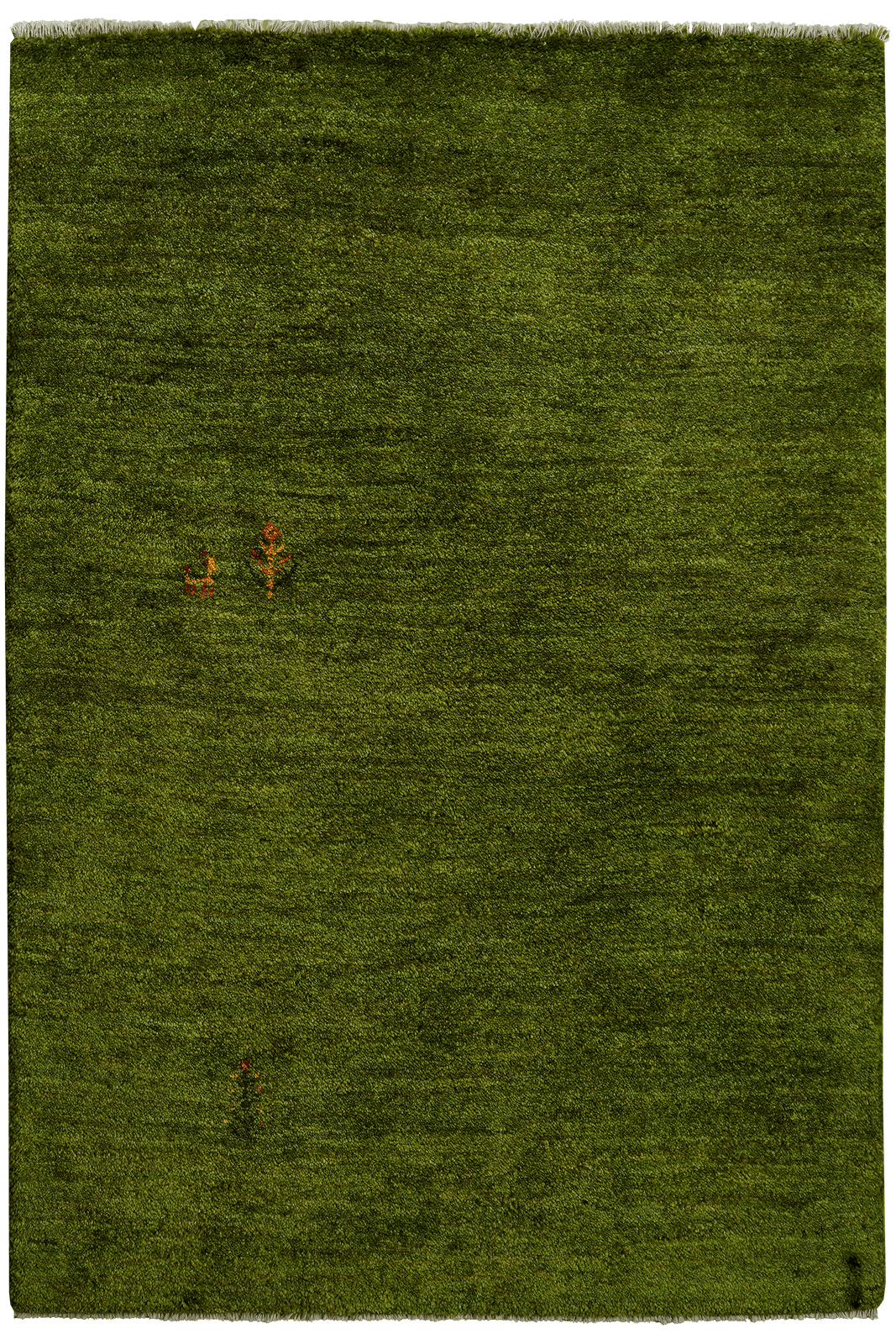 Gabbeh — Hand-knotted, 101x147 cm, Green, 100% Virgin Wool | Main view