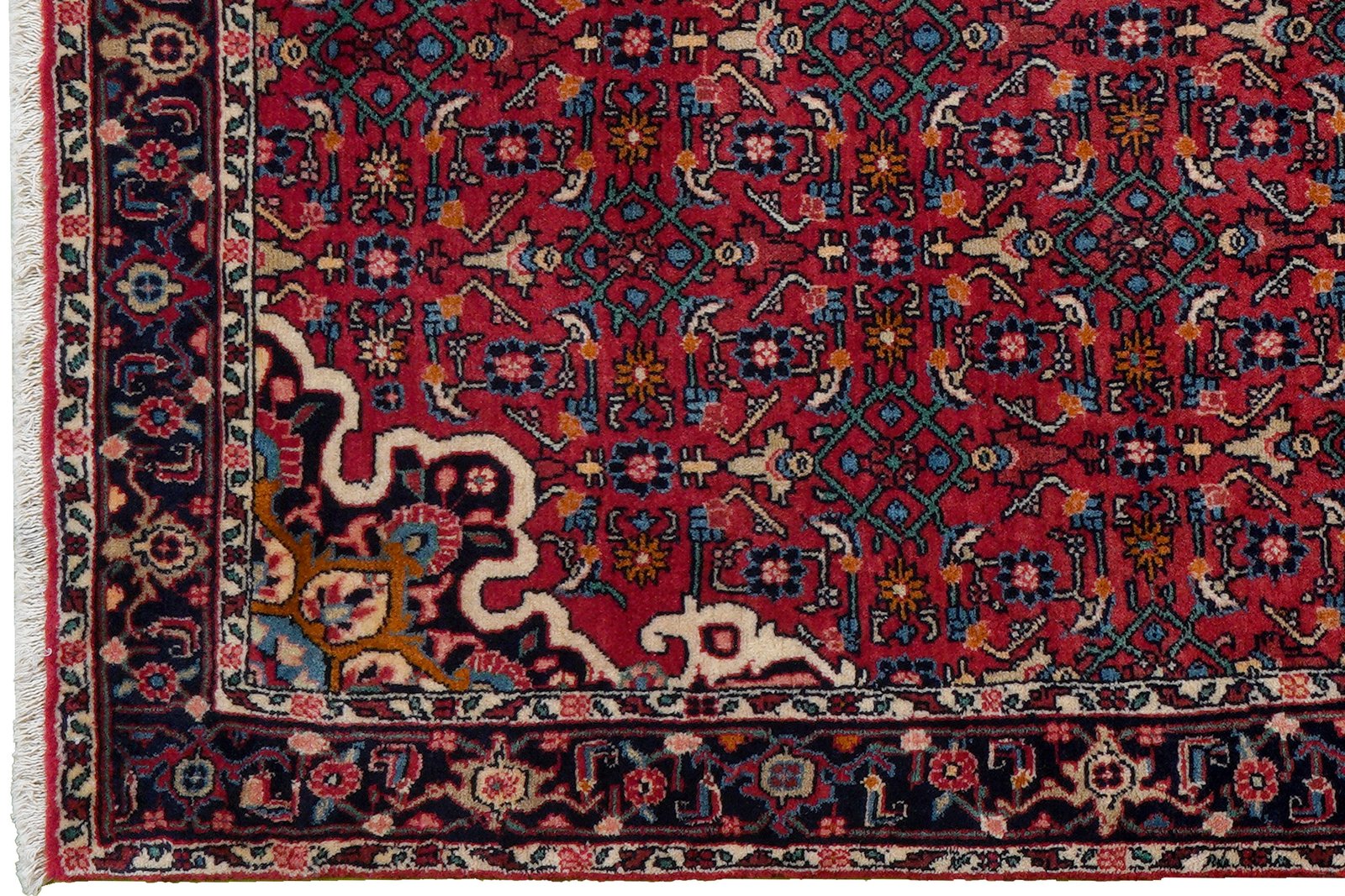 Bidjar Zandjan — Hand-knotted, 103x160 cm, Red, 100% Virgin Wool | View 3