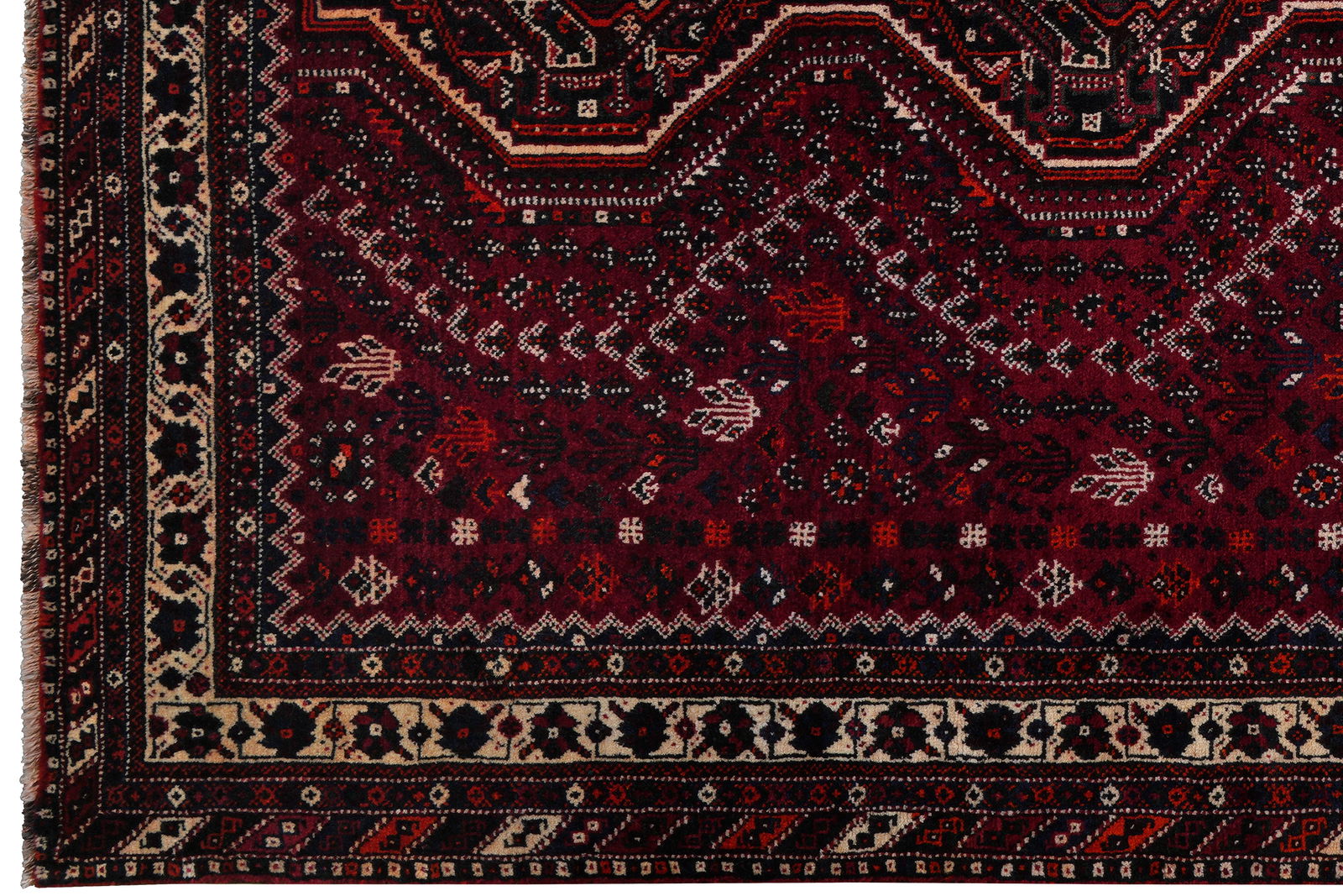 Shiraz — Handgefertigt, 308x209 cm, Beige, 100% Virgin Wool | View 4